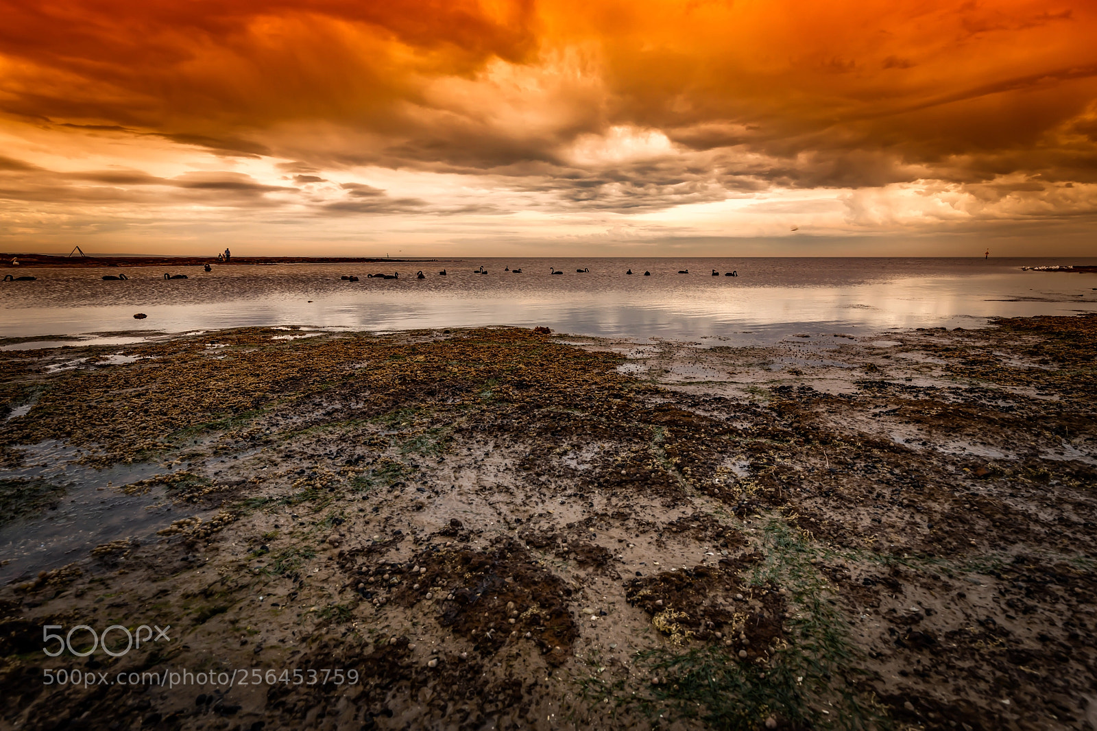 Canon EOS 5D Mark IV sample photo. Super stormy sunset photography