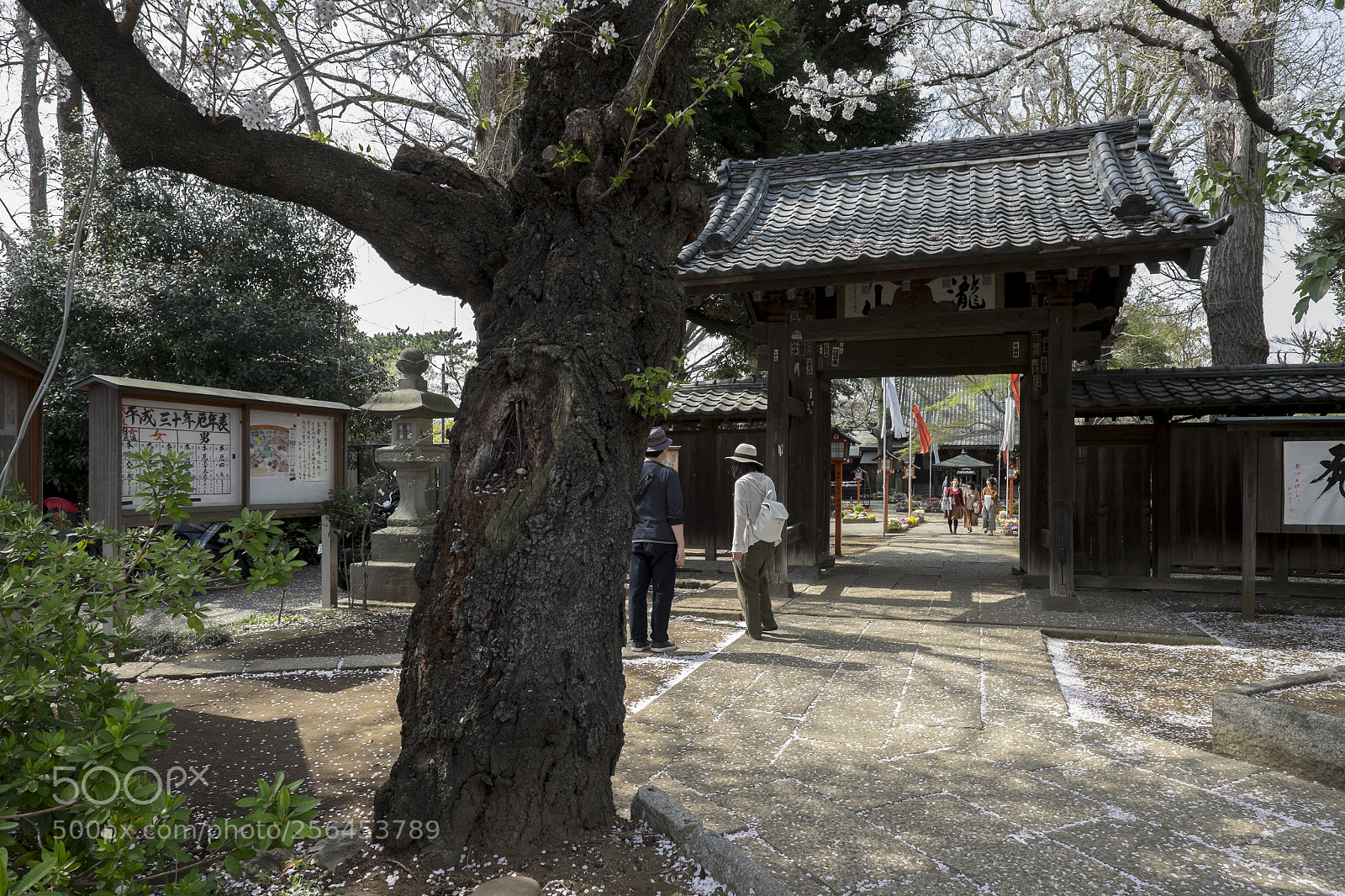 Fujifilm X-T1 sample photo. Tokyo.世田谷区等々力　等々力不動尊山門 photography