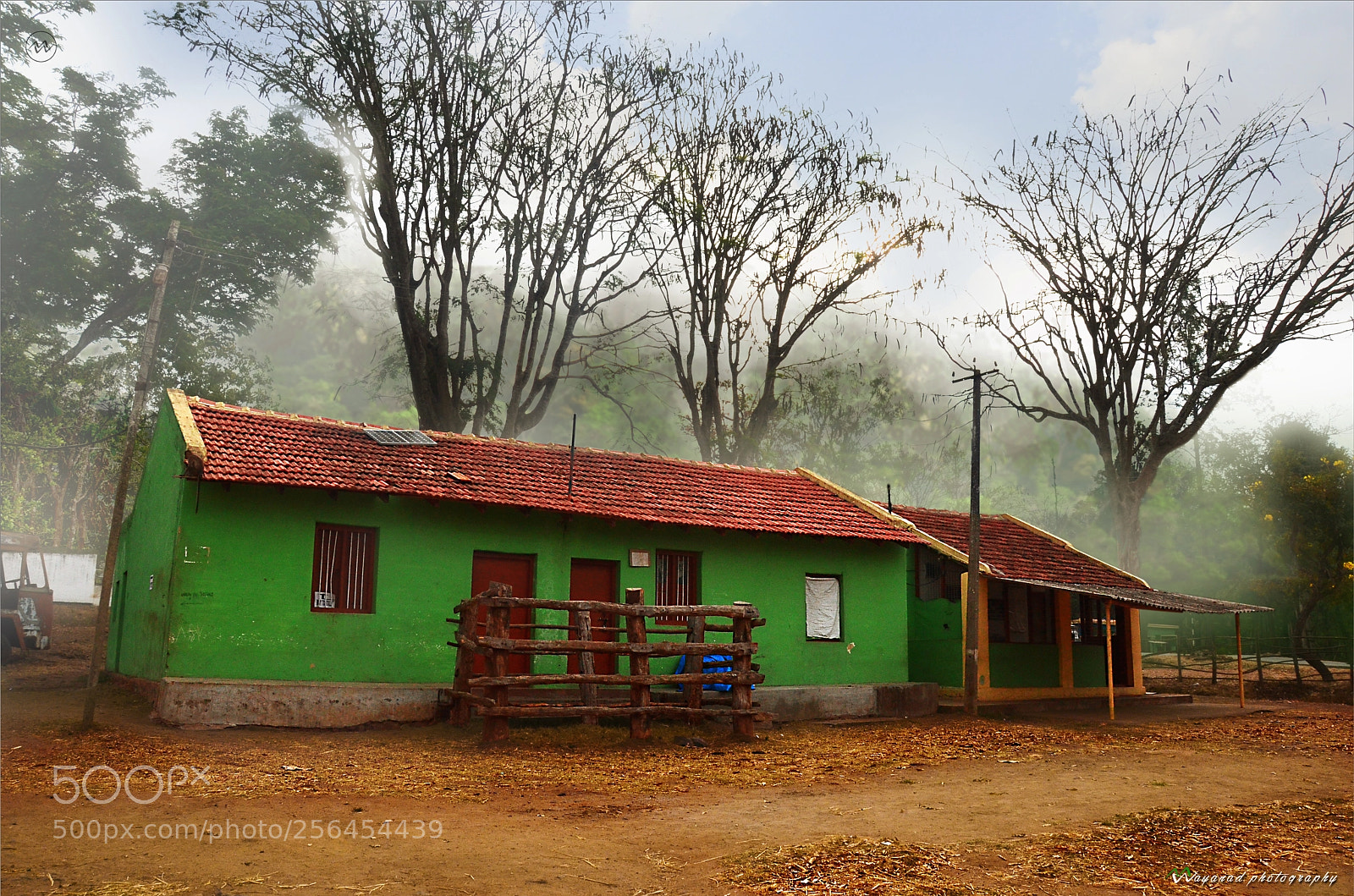 Nikon D7000 sample photo. Bavali elephant camp photography