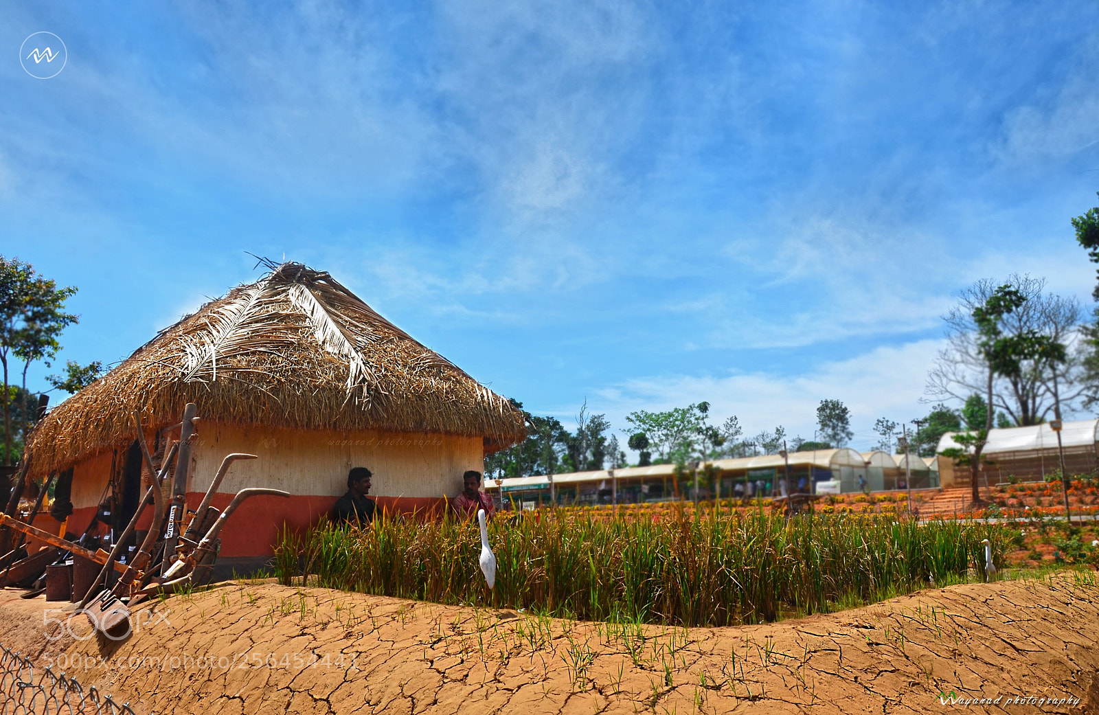 Nikon D7000 sample photo. Ambalavayal expo photography