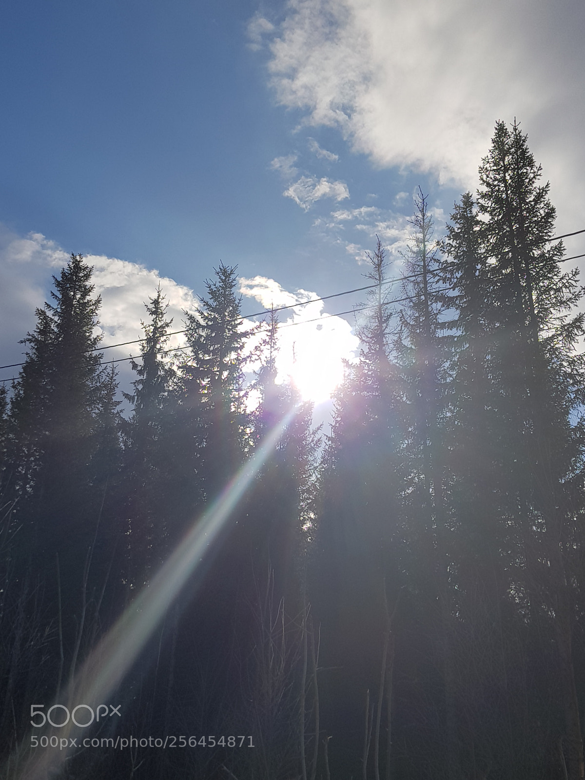 Samsung Galaxy S8 sample photo. Sun ray photography