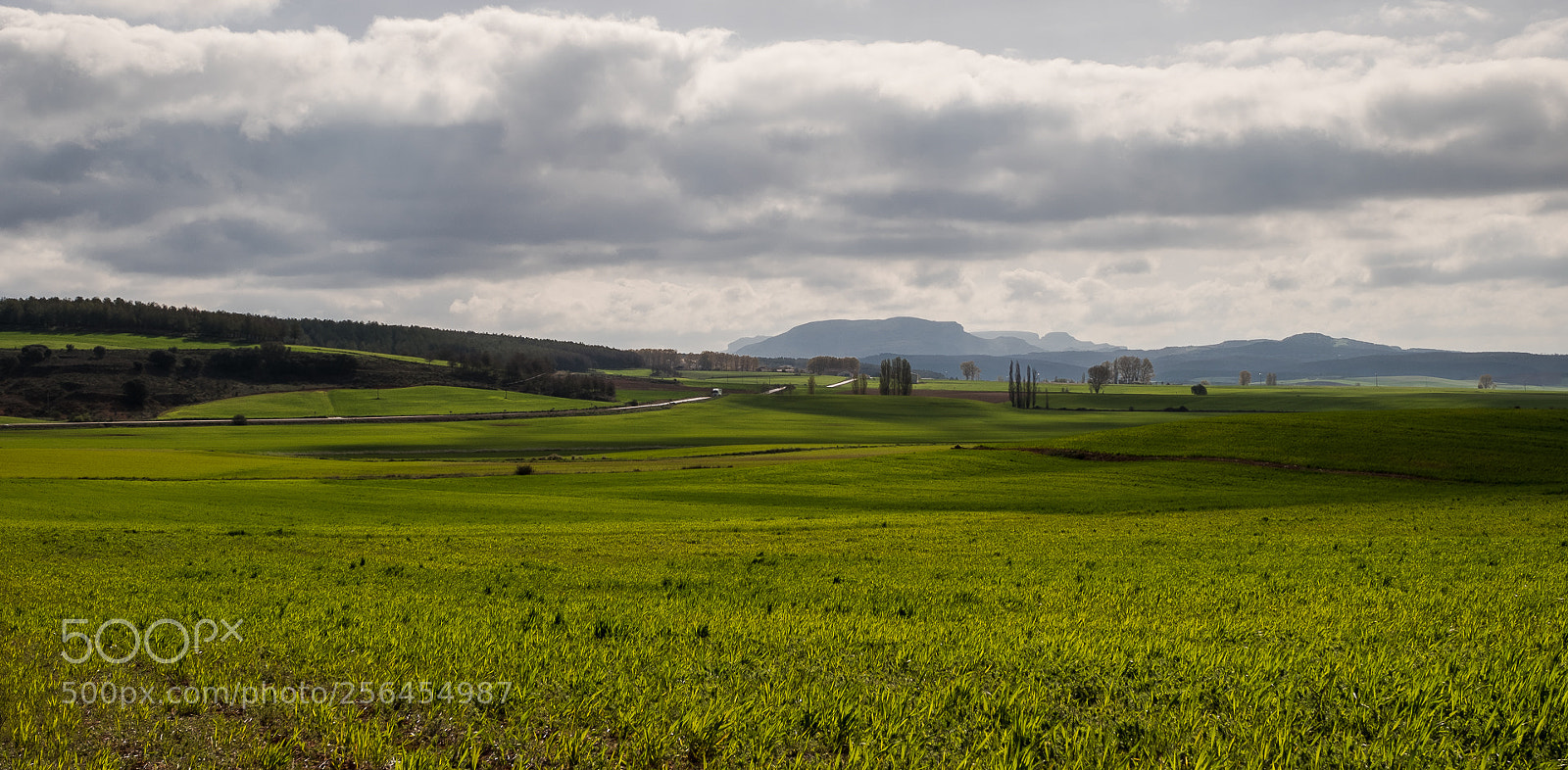 Fujifilm X-T2 sample photo. Nubes y claros photography
