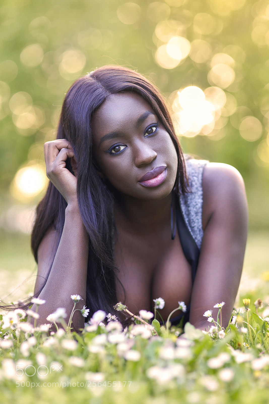 Nikon D800 sample photo. Flowers photography