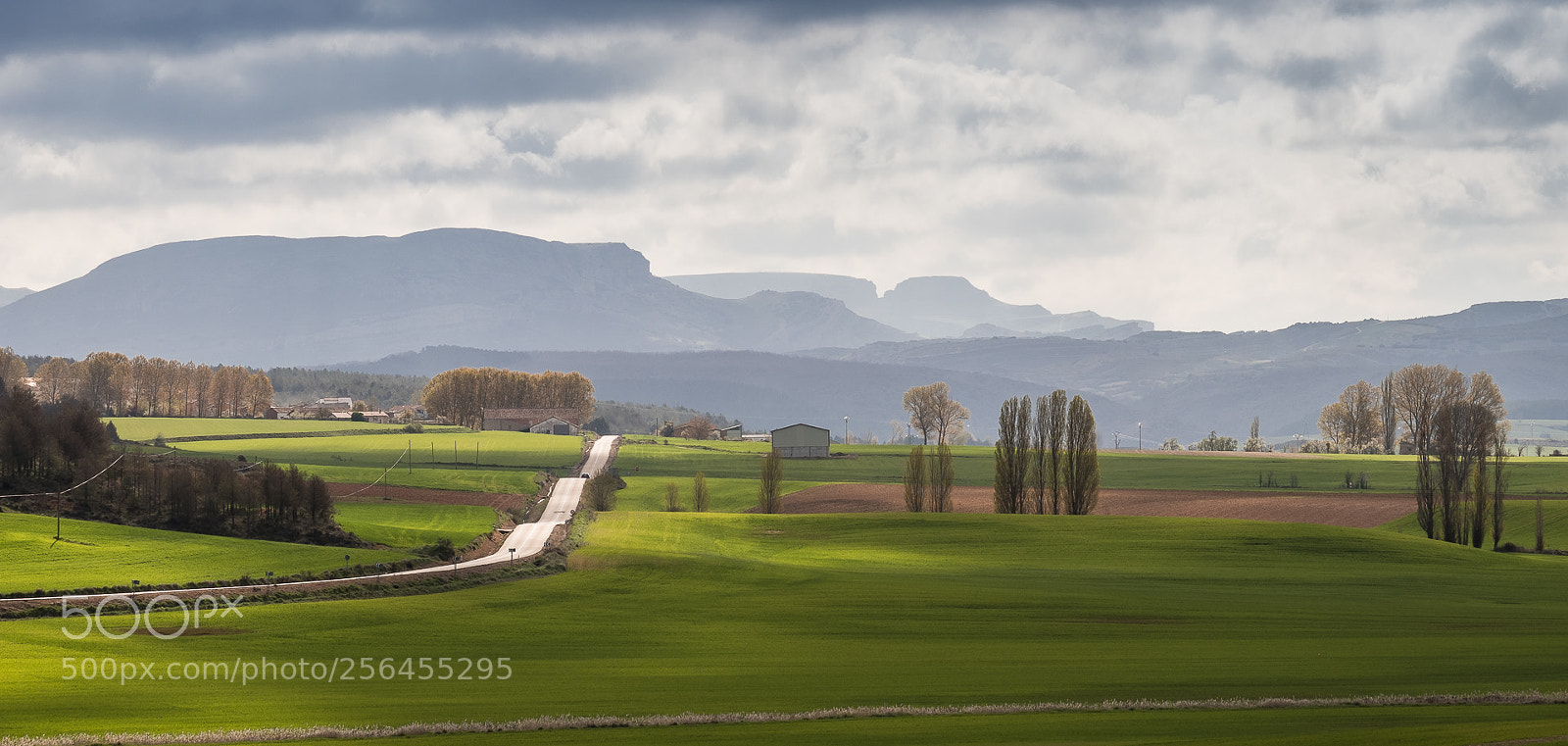 Fujifilm X-T2 sample photo. Primavera en palencia photography