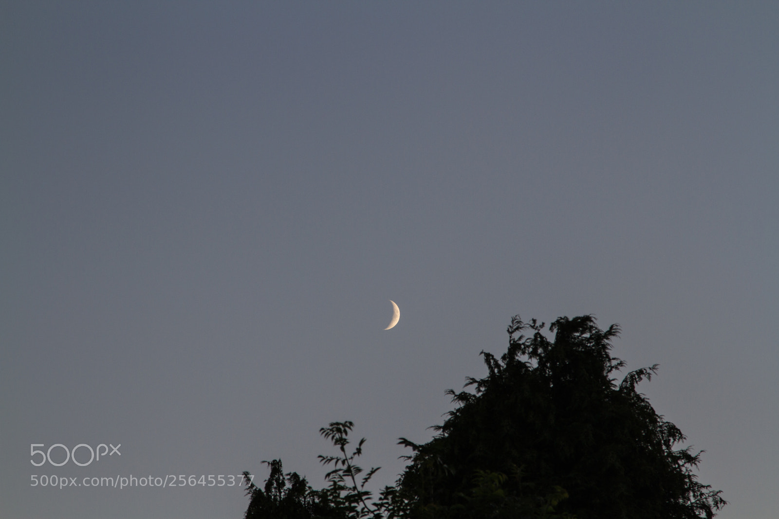 Canon EOS 7D sample photo. Untitled photography