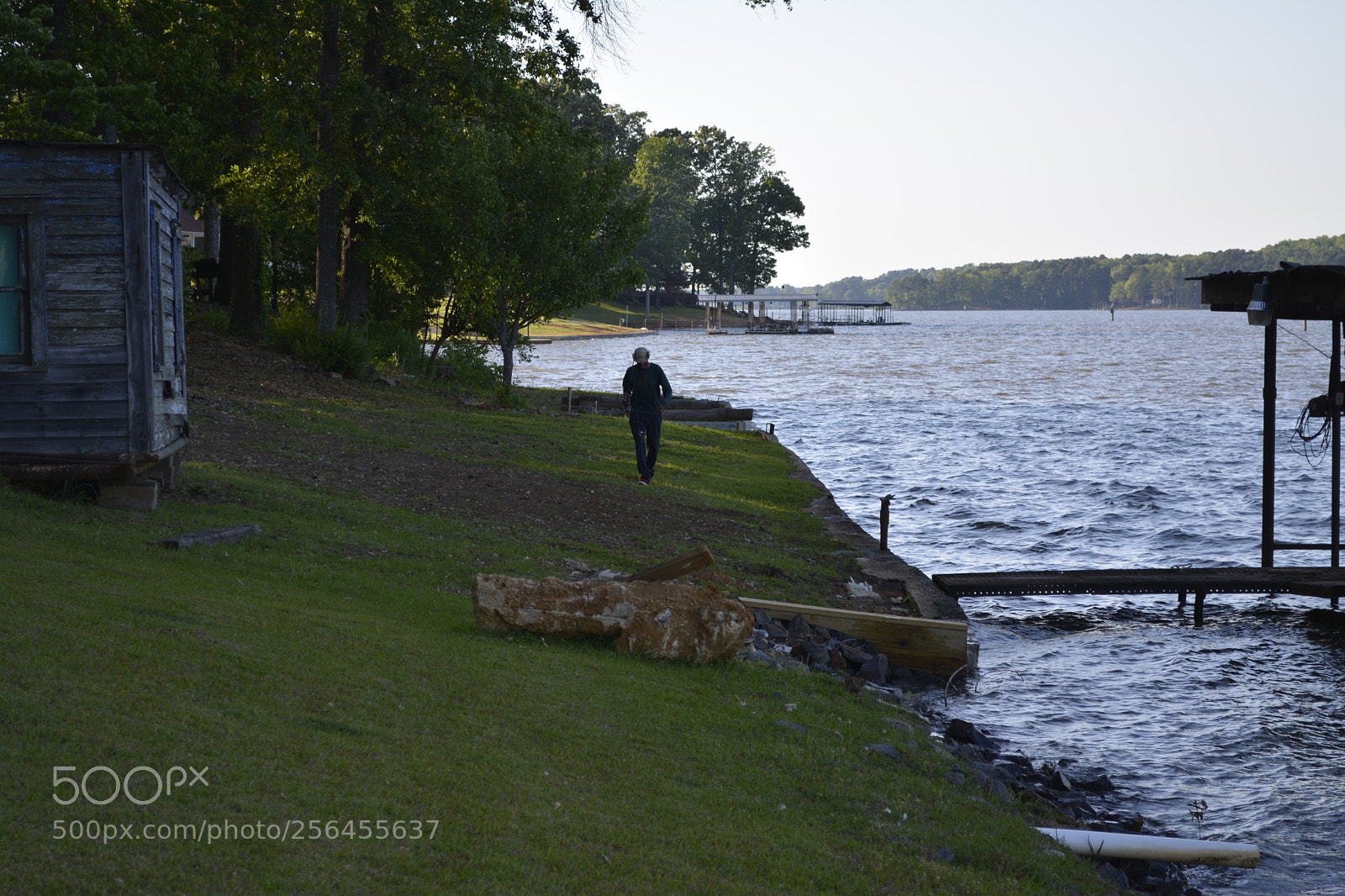 Nikon D5200 sample photo. Lay it by the photography