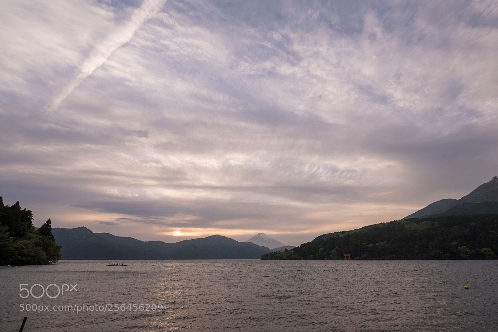 Fujifilm X-T20 sample photo. Untitled photography