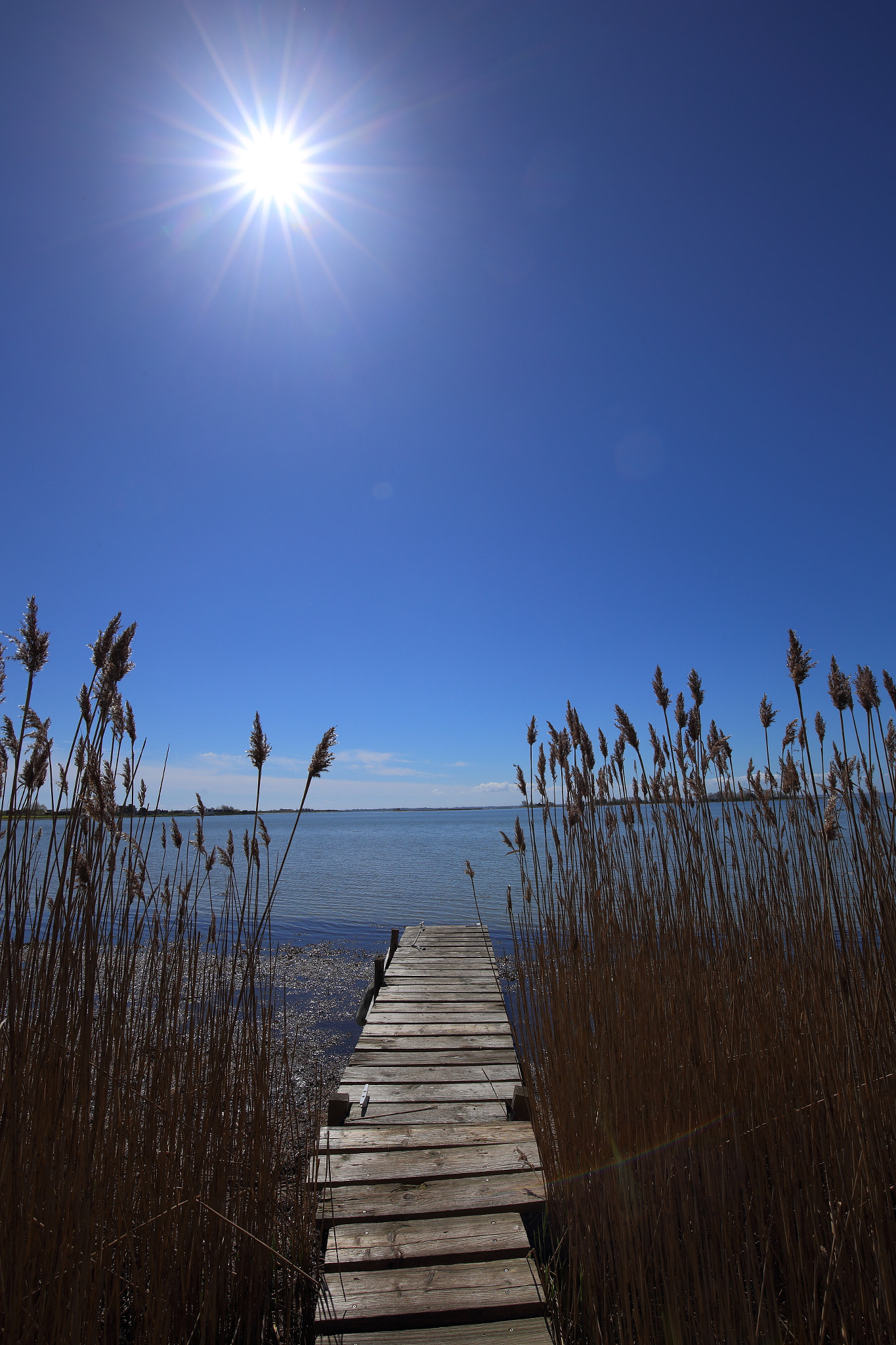 Canon EF 16-35mm F4L IS USM sample photo. Landing base photography
