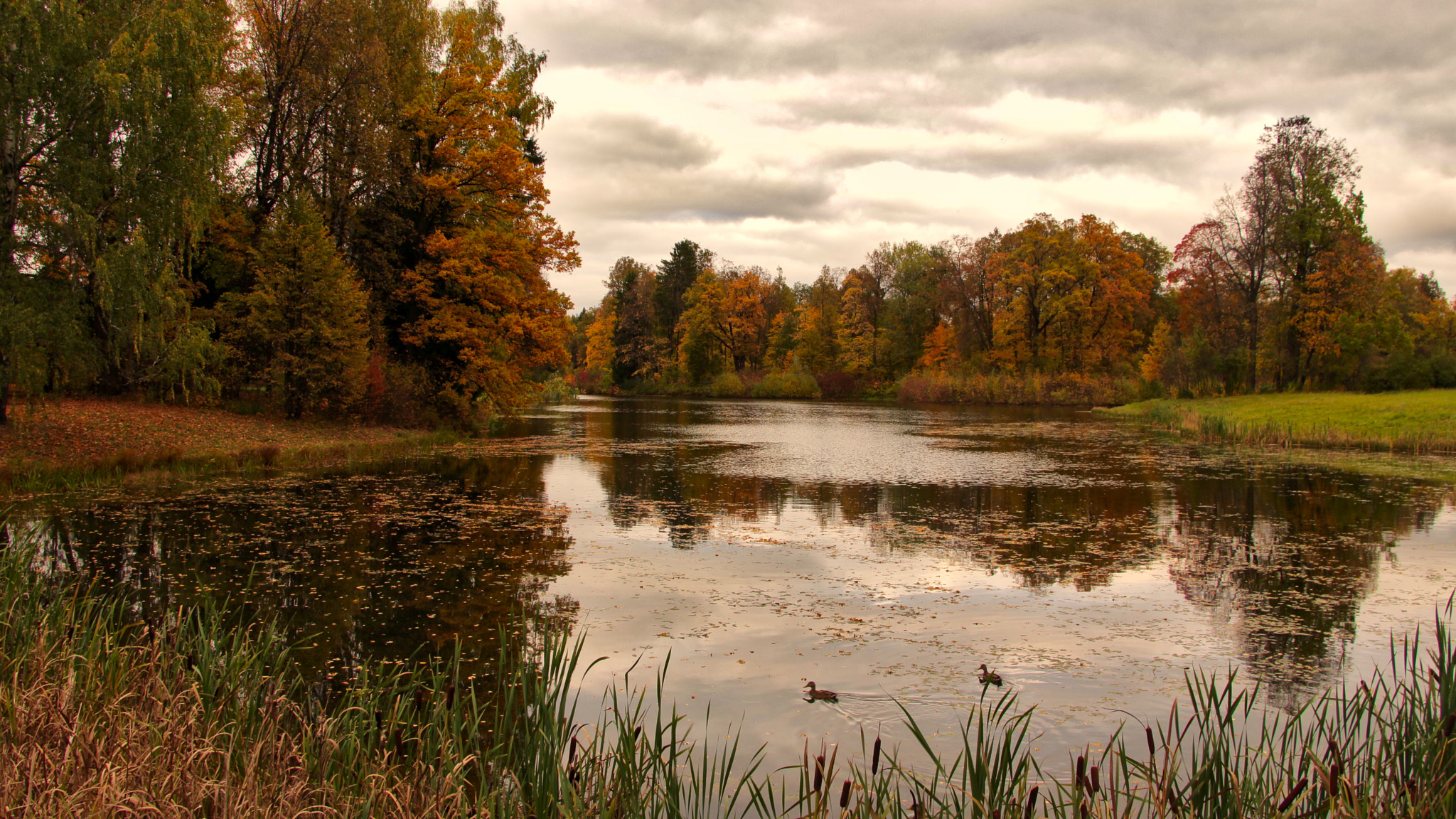 Canon EOS 650D (EOS Rebel T4i / EOS Kiss X6i) sample photo. Pavlovskiy park photography