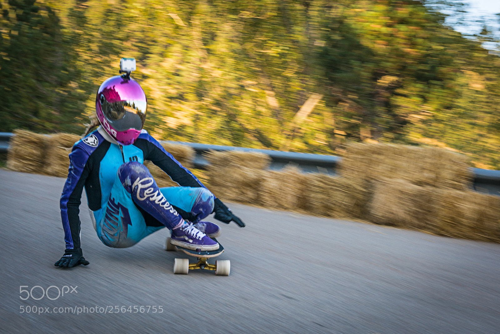 Nikon D810 sample photo. Paloma acha en pal's photography