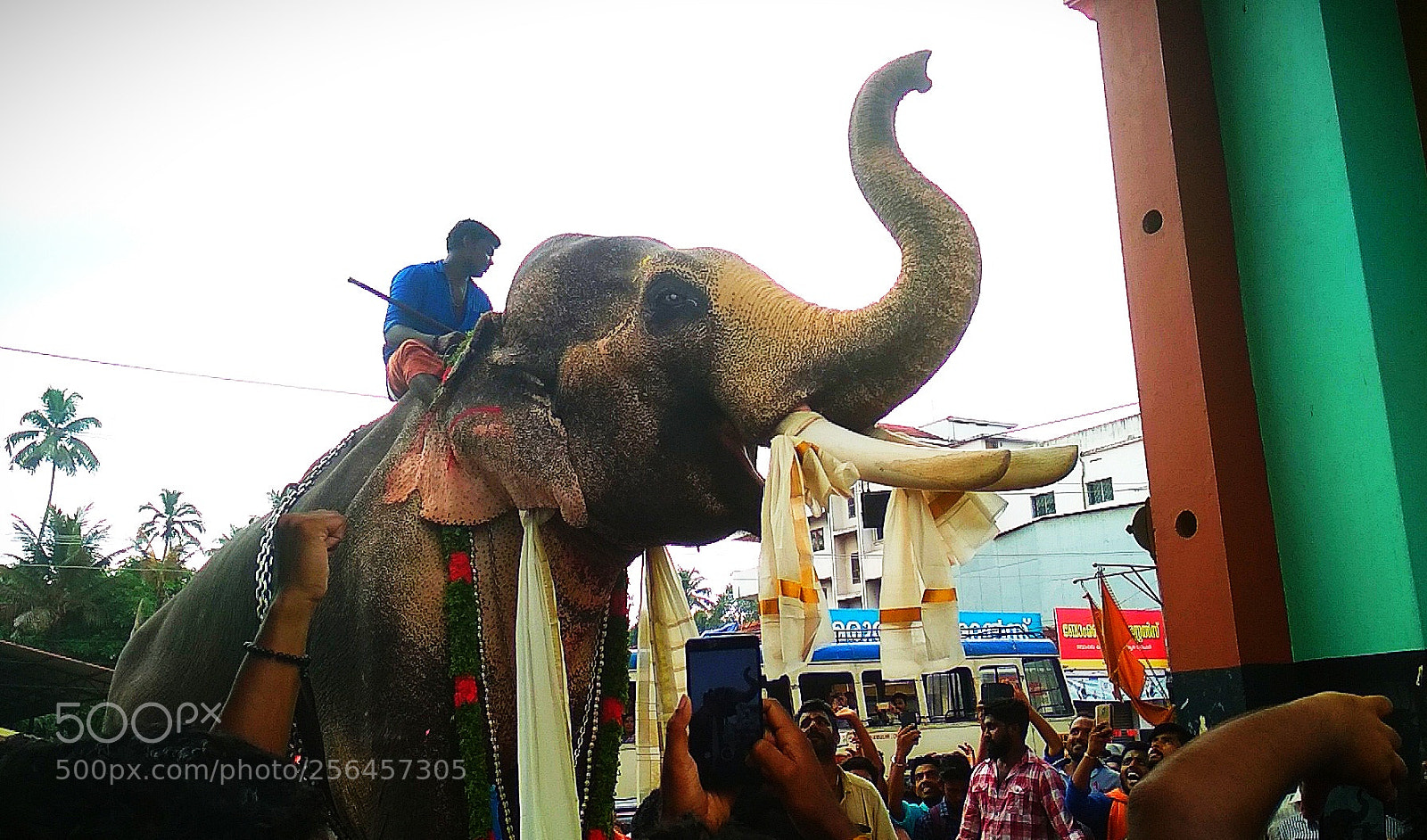 Xiaomi Redmi 4 Pro sample photo. Traditional festive vibes photography