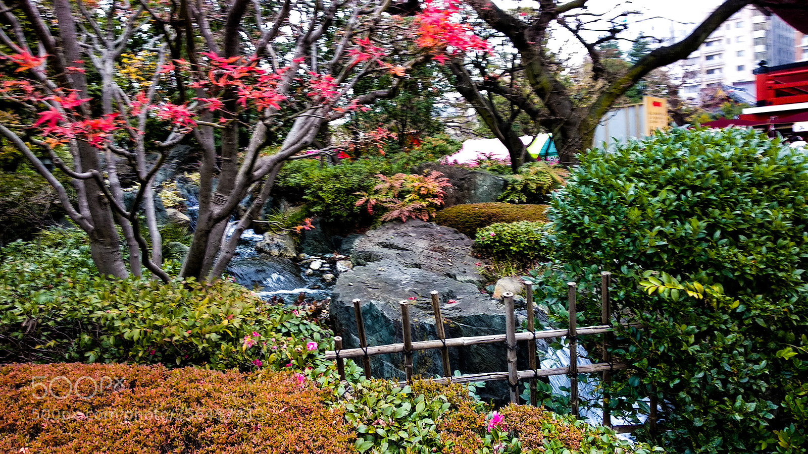 Xiaomi Mi A1 sample photo. Sakura fountain photography