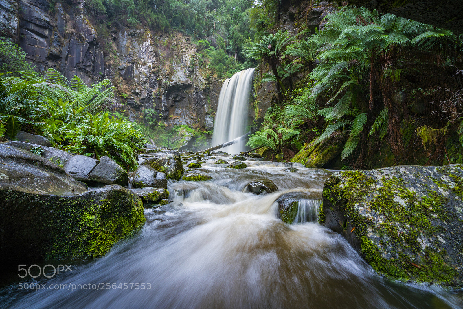 Sony a7R II sample photo. Hopetoun falls photography