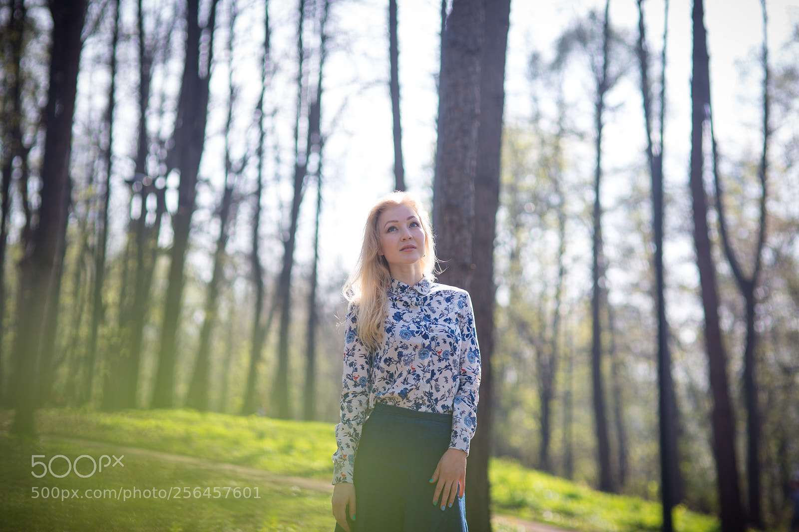 Canon EOS 6D sample photo. Img photography