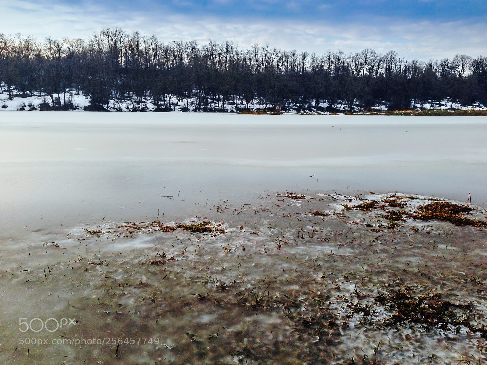Apple iPhone 5 sample photo. "iced" photography
