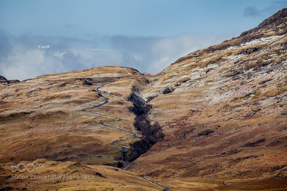 Canon EOS 5D Mark II sample photo. England photography