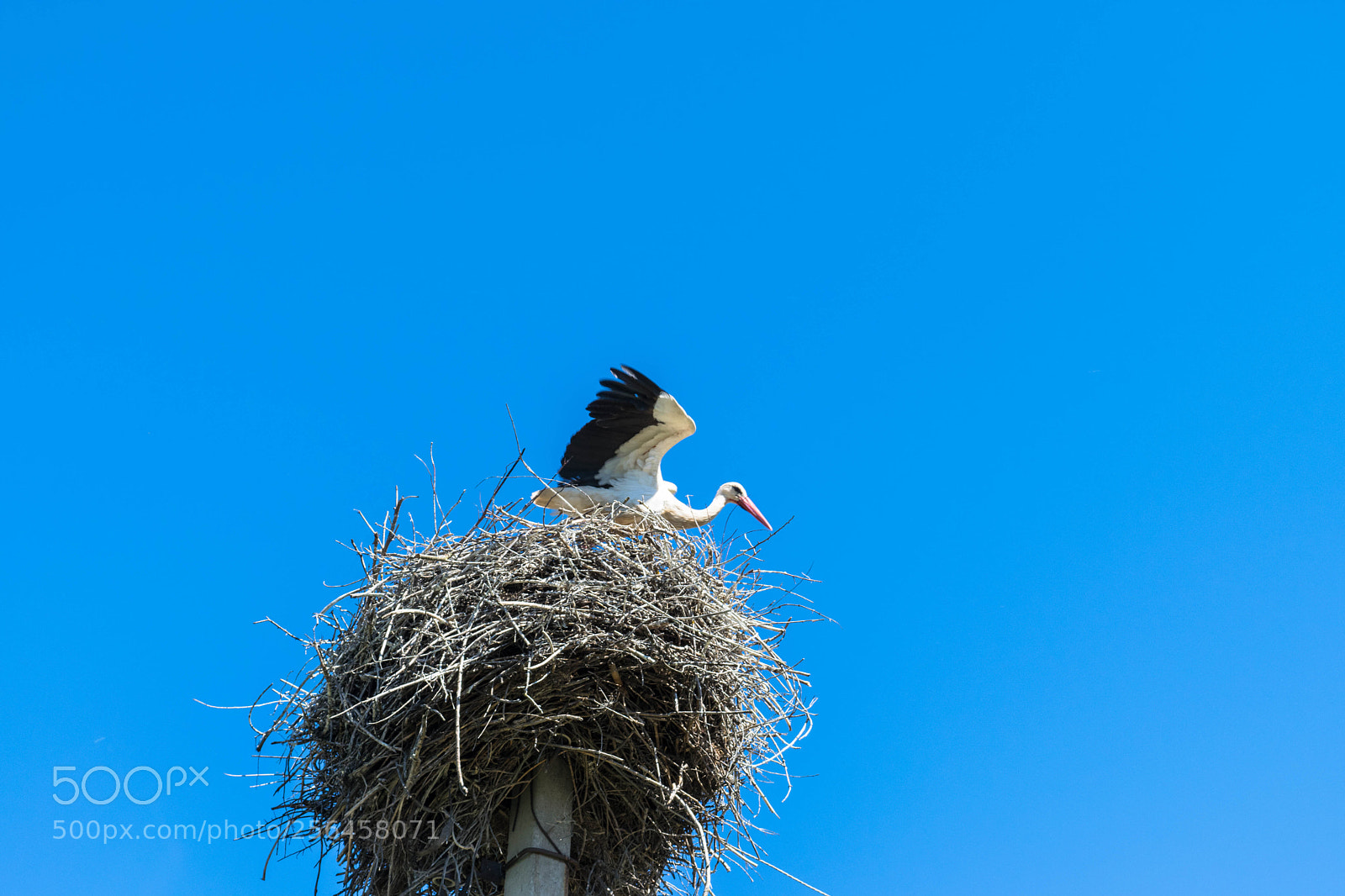 Nikon D3300 sample photo. One of the symbol photography