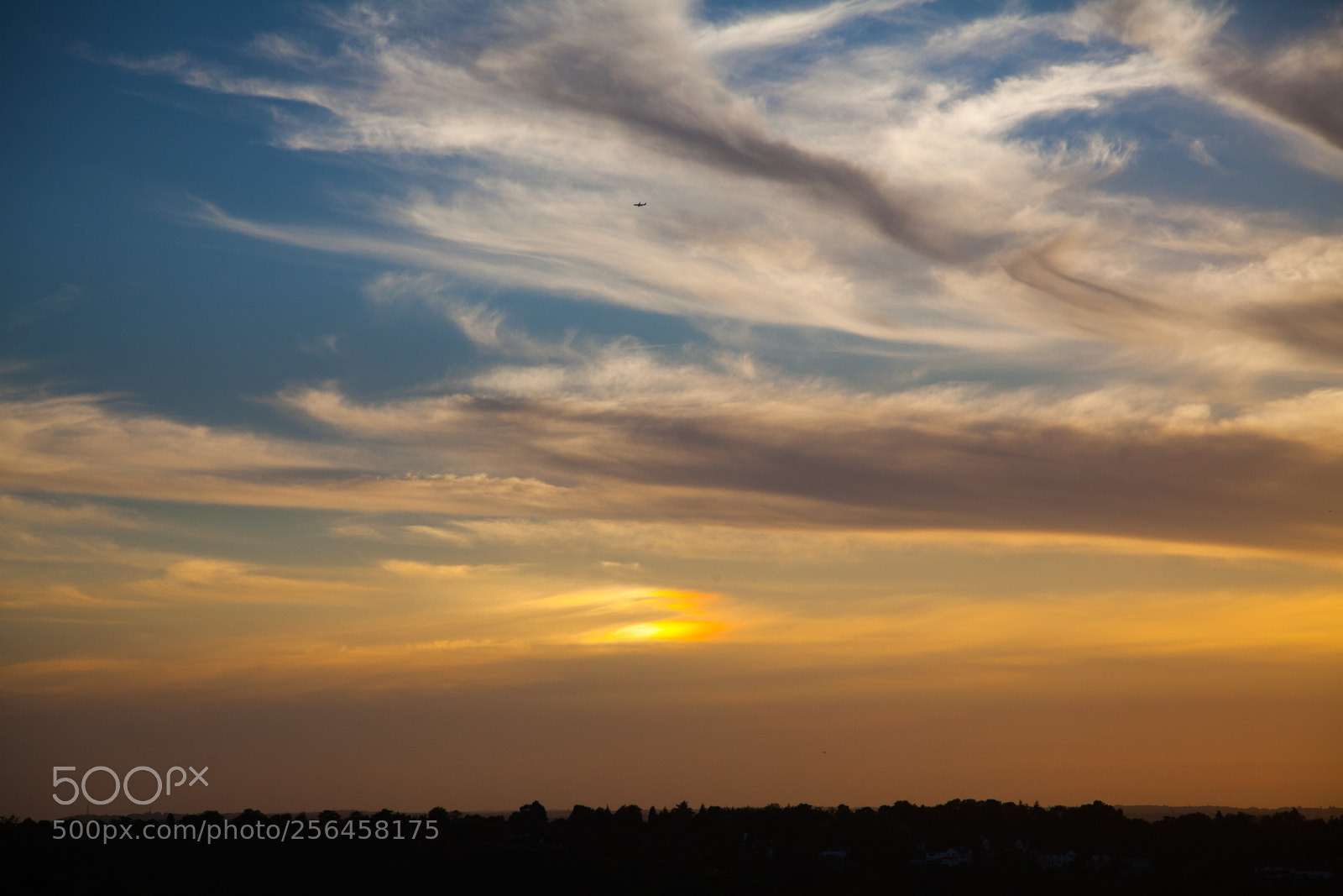 Canon EOS 5D Mark II sample photo. Untitled photography
