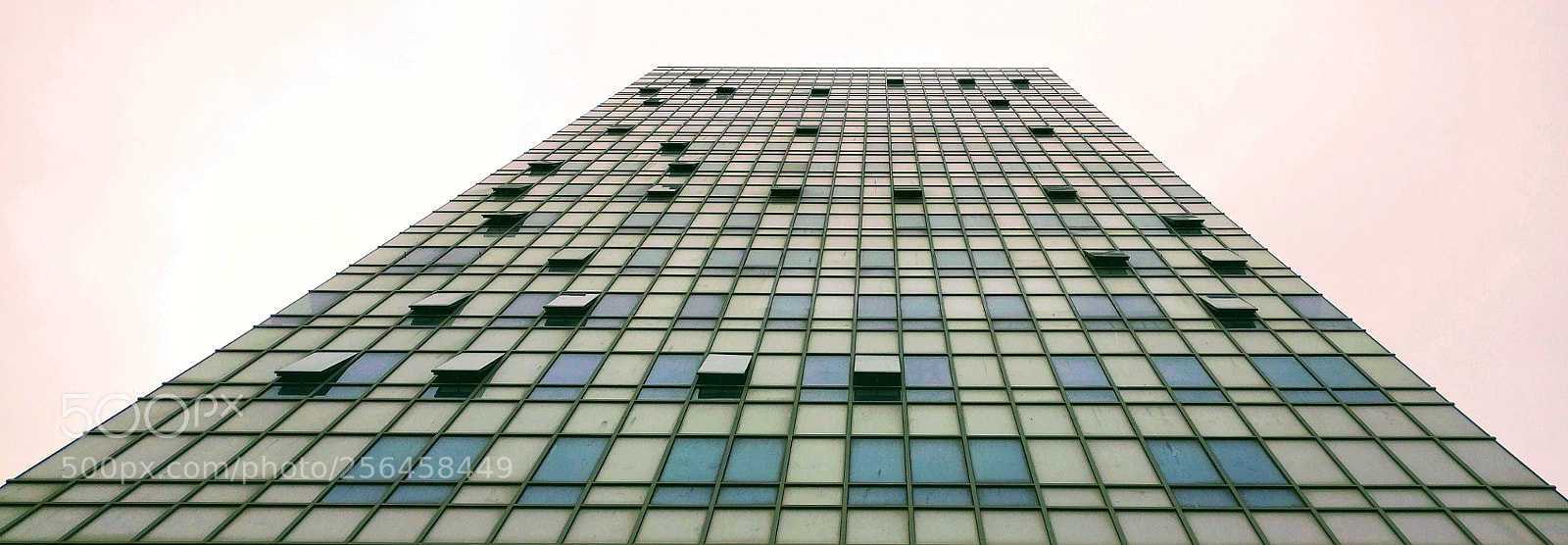 OnePlus A3003 sample photo. Heads up photography