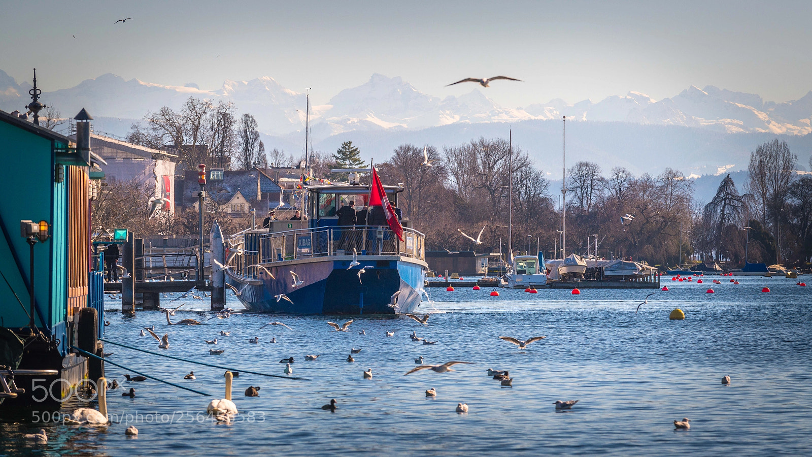 Nikon D850 sample photo. Zurich, lake photography