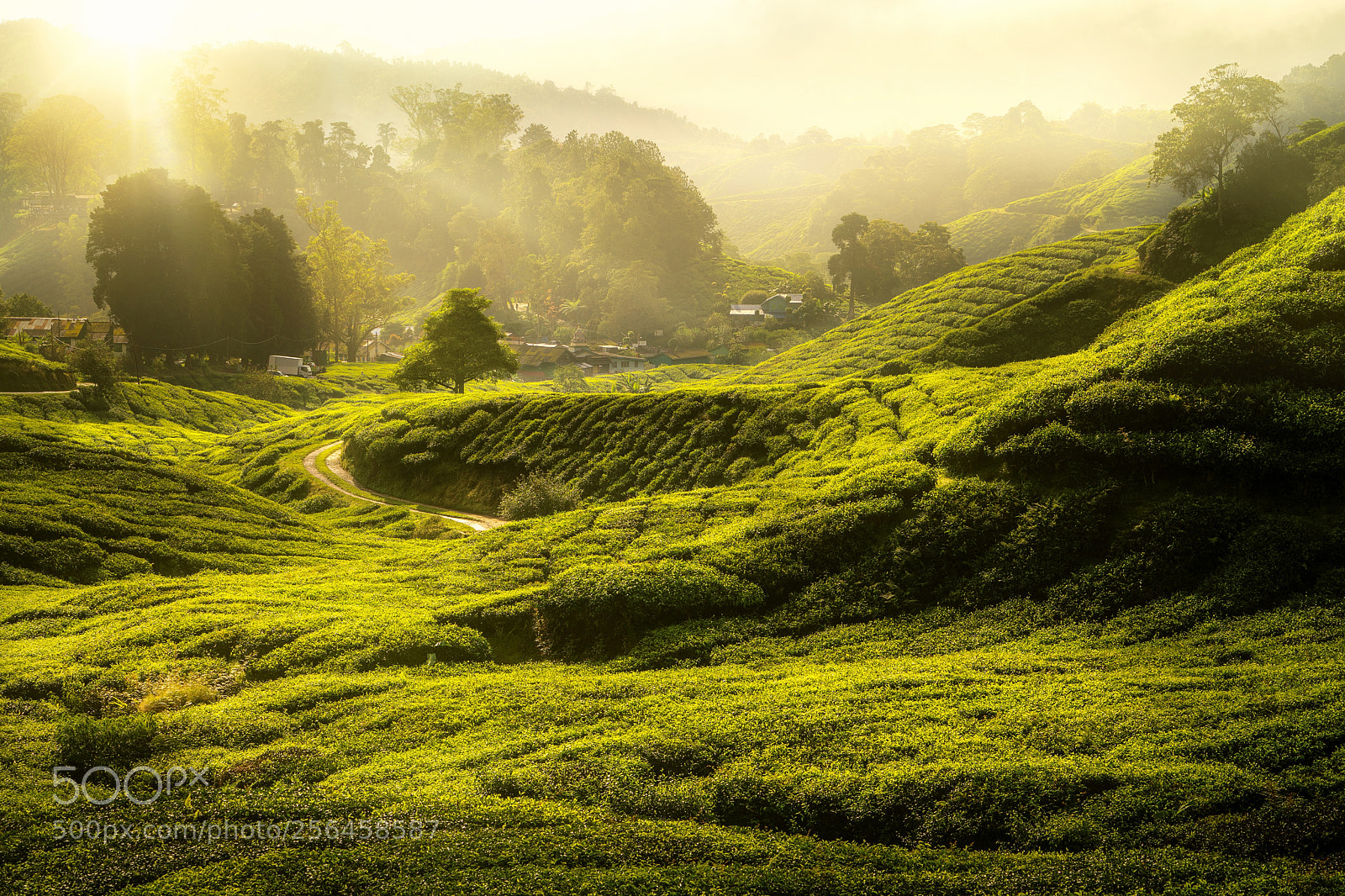 Sony a7R II sample photo. Morning sunrise and the photography