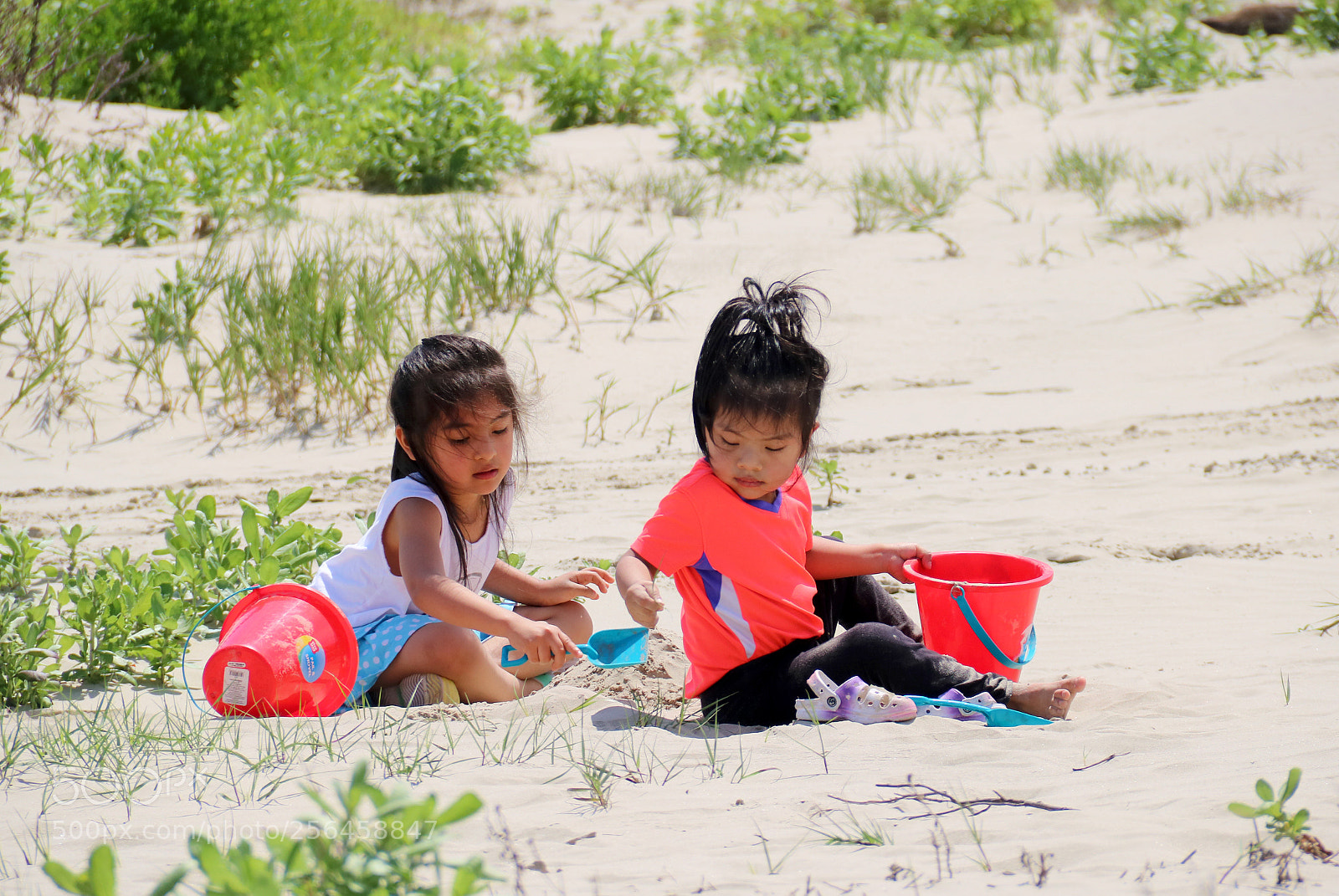 Canon EOS 750D (EOS Rebel T6i / EOS Kiss X8i) sample photo. Sisters 6997 photography