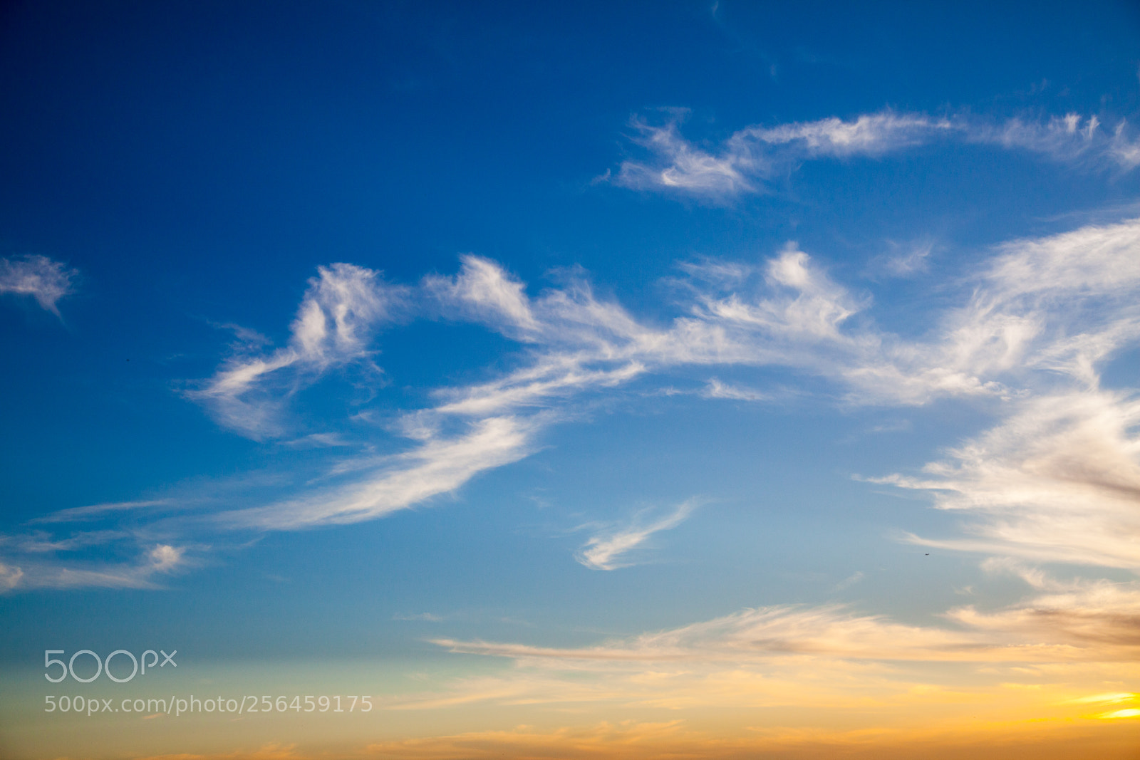 Canon EOS 5D Mark II sample photo. Untitled photography