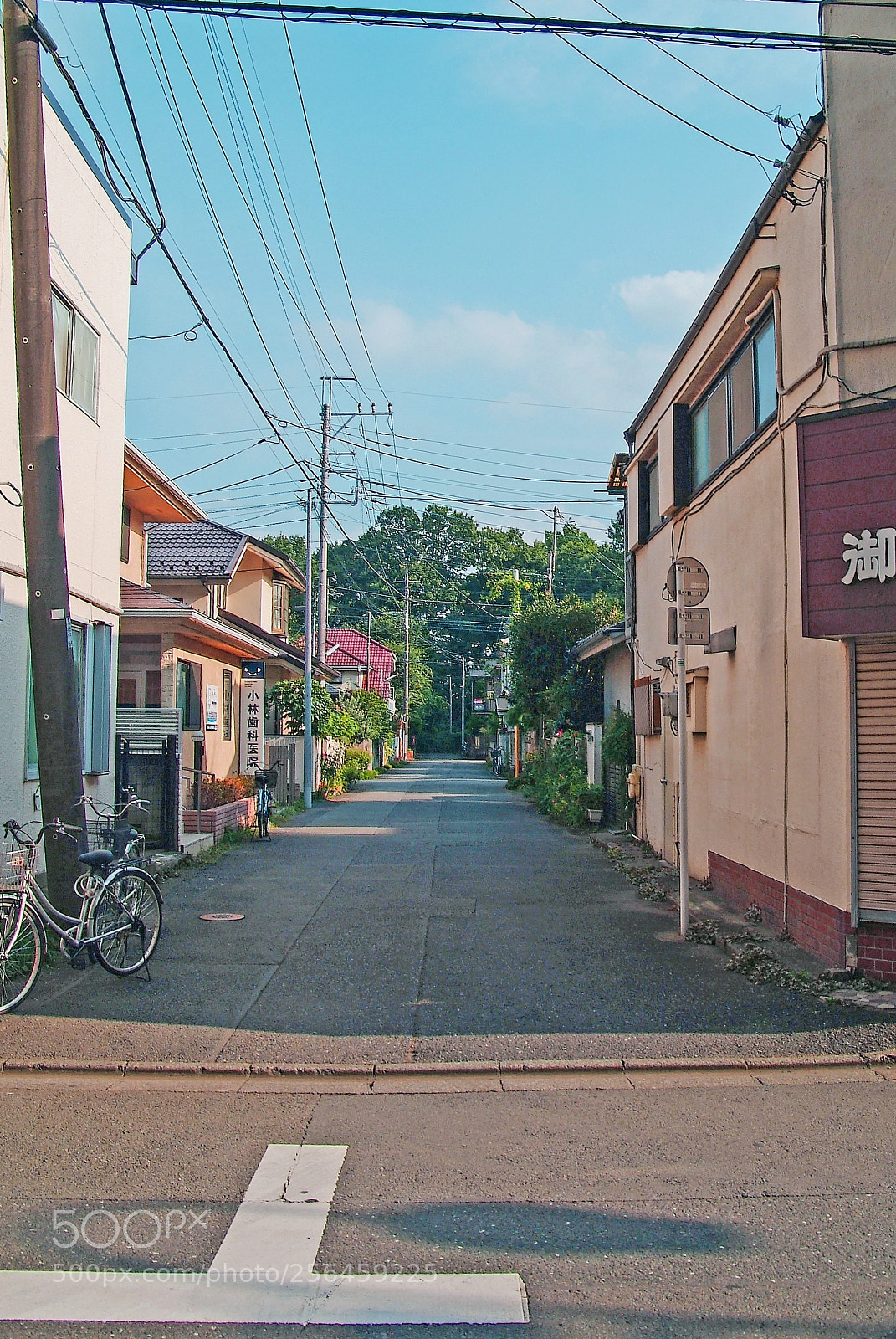 Fujifilm FinePix S3 Pro sample photo. Streetview of gokubunji, japan. photography