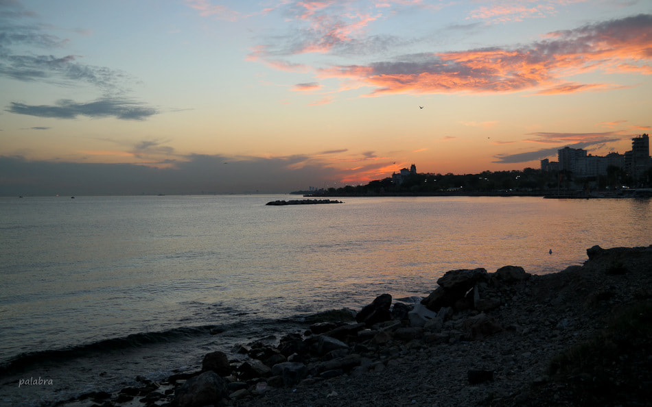 Samsung NX30 sample photo. ... photography