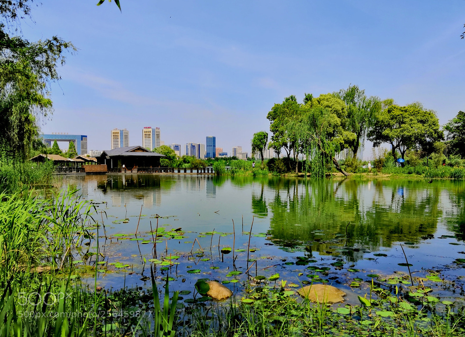 HUAWEI Honor 10 sample photo. Spring of taihu lake。6 photography