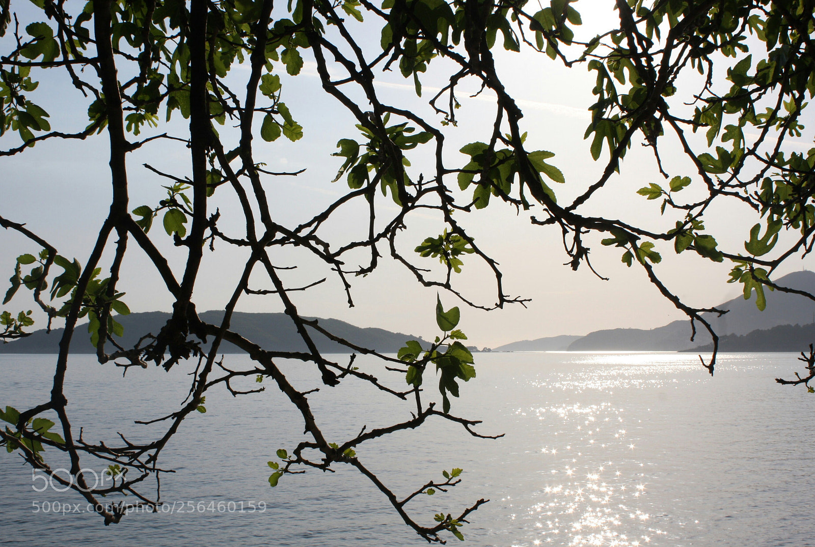 Canon EOS 40D sample photo. Sunset on adriatic photography