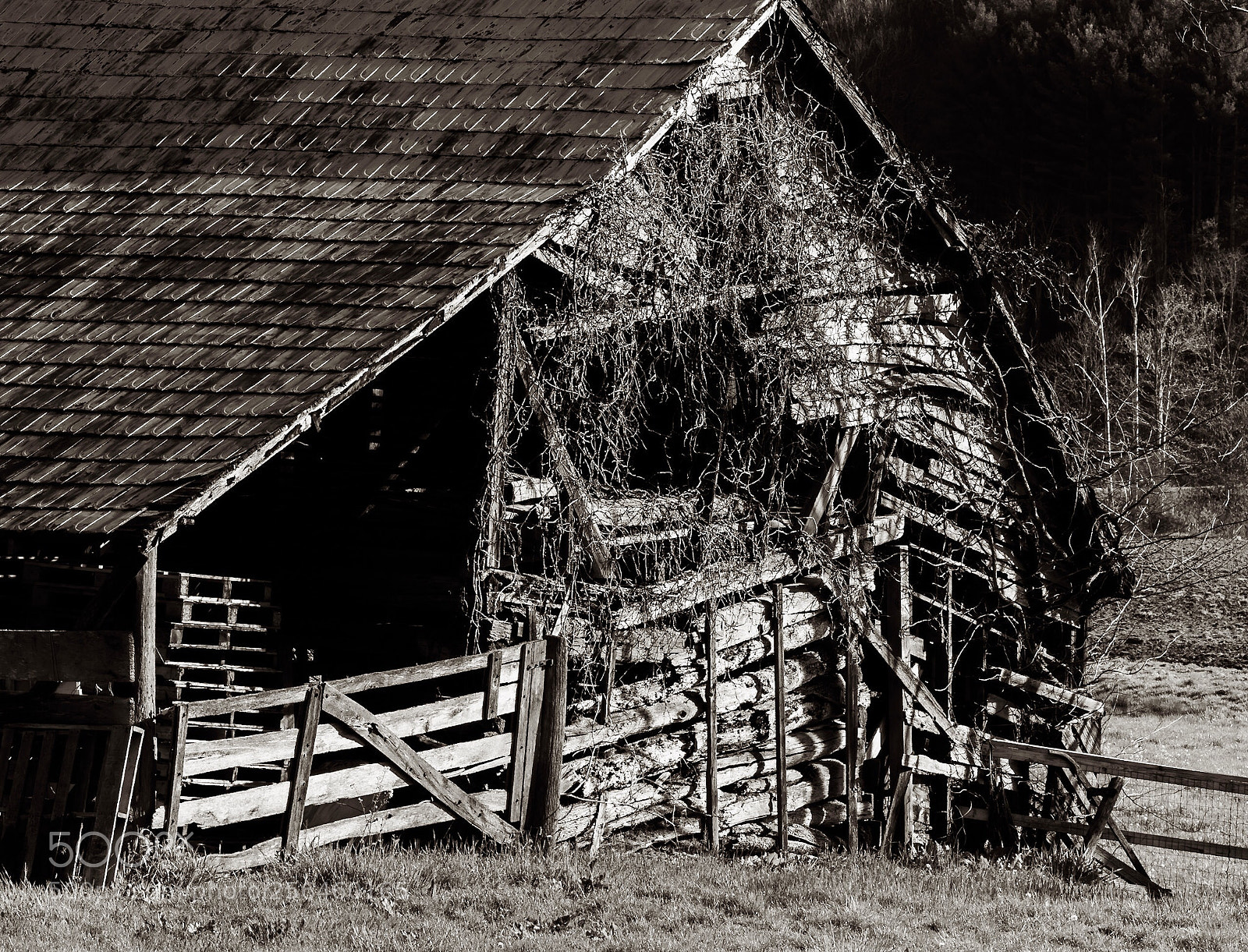 Nikon D750 sample photo. Time photography