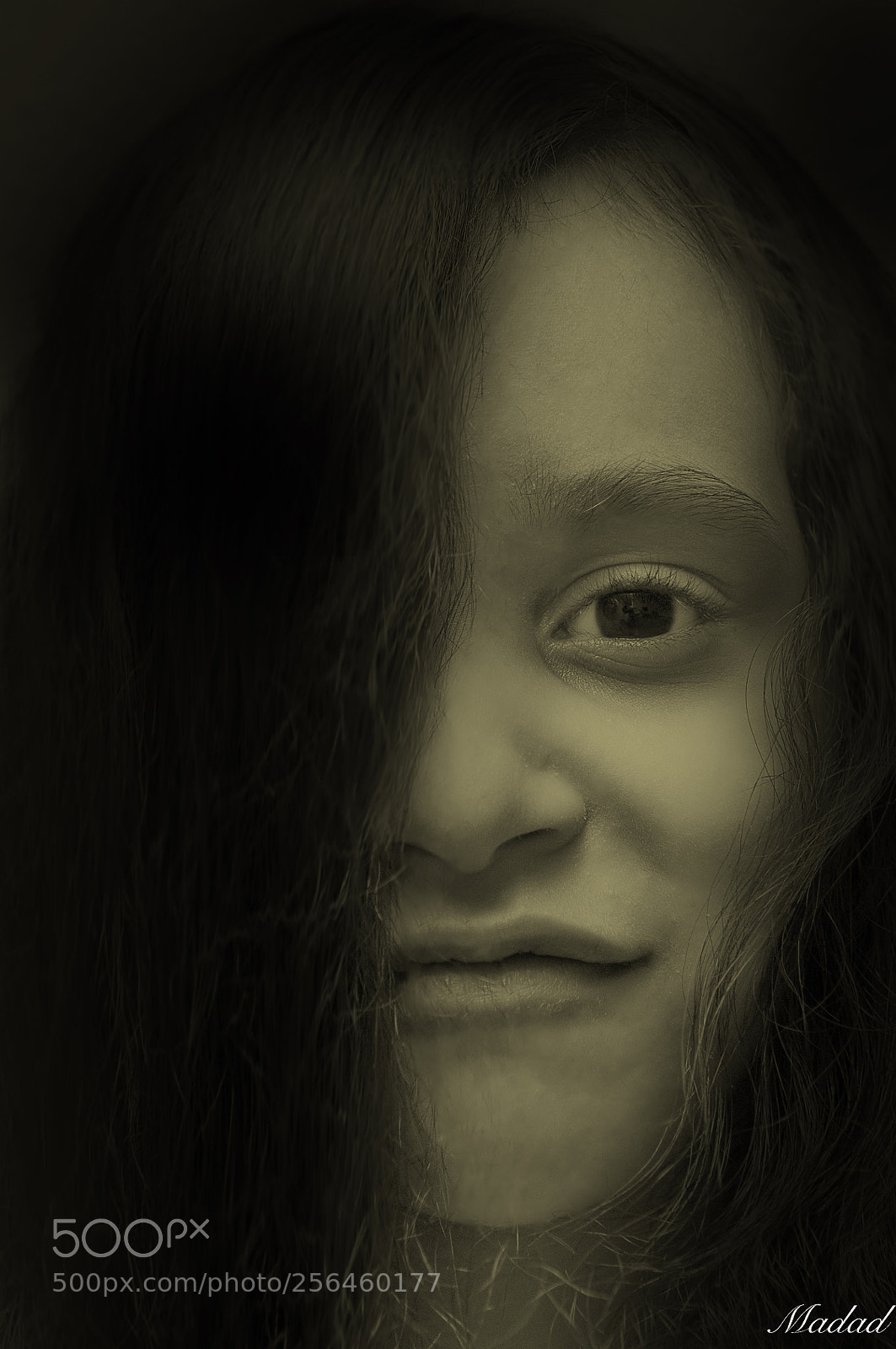 Nikon D90 sample photo. Untitled photography