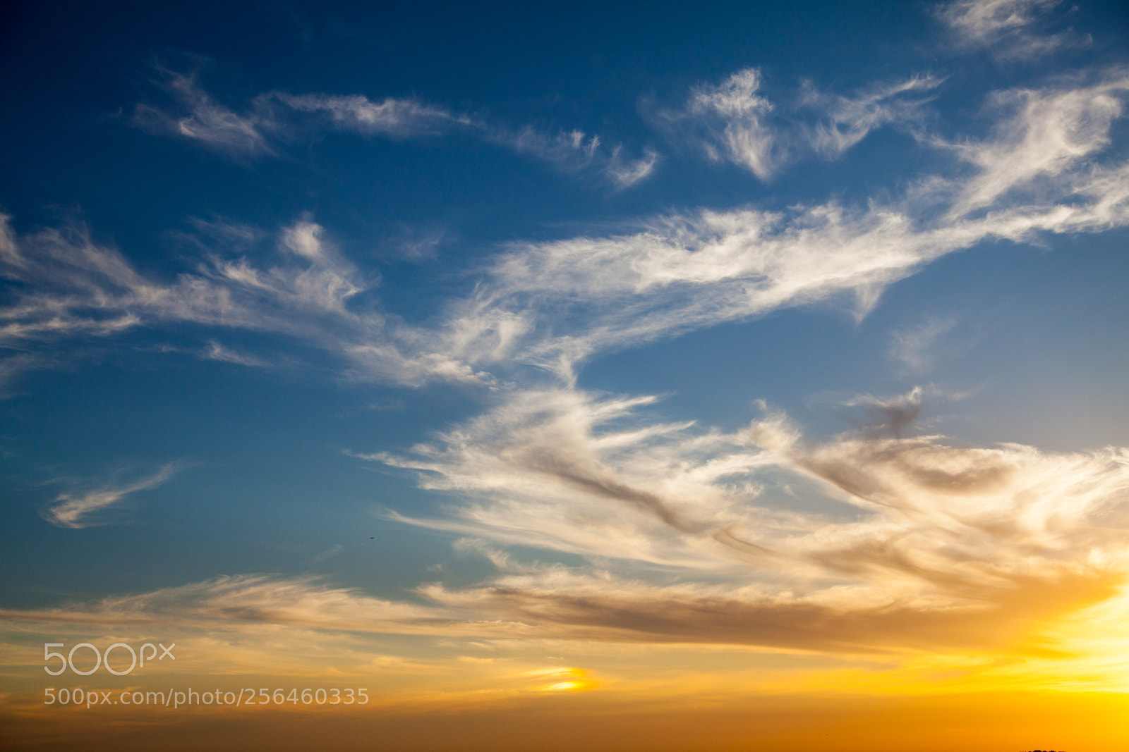 Canon EOS 5D Mark II sample photo. Untitled photography