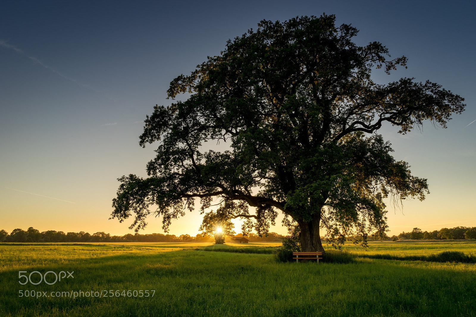 Sony a7 II sample photo. Lachsgang sunset stroll photography