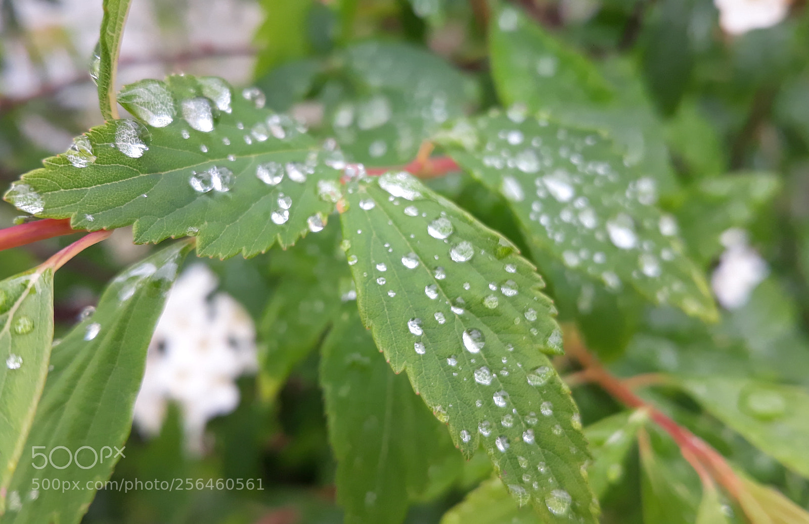 Samsung Galaxy J7 sample photo. 20180415_113400.jpg photography