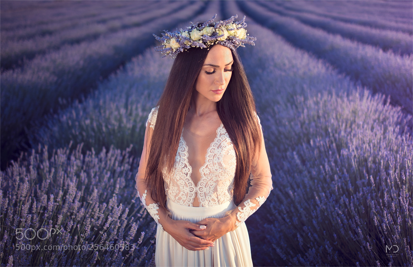 Nikon D750 sample photo. Lavander session photography