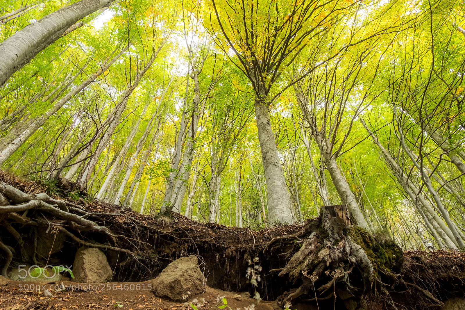Fujifilm X-T10 sample photo. Monte amiata ottobre 2017.jpg photography