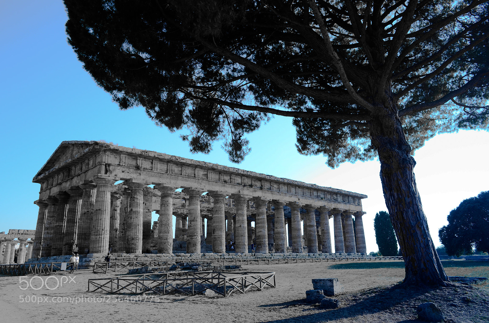 Nikon D5100 sample photo. Tempio athena photography