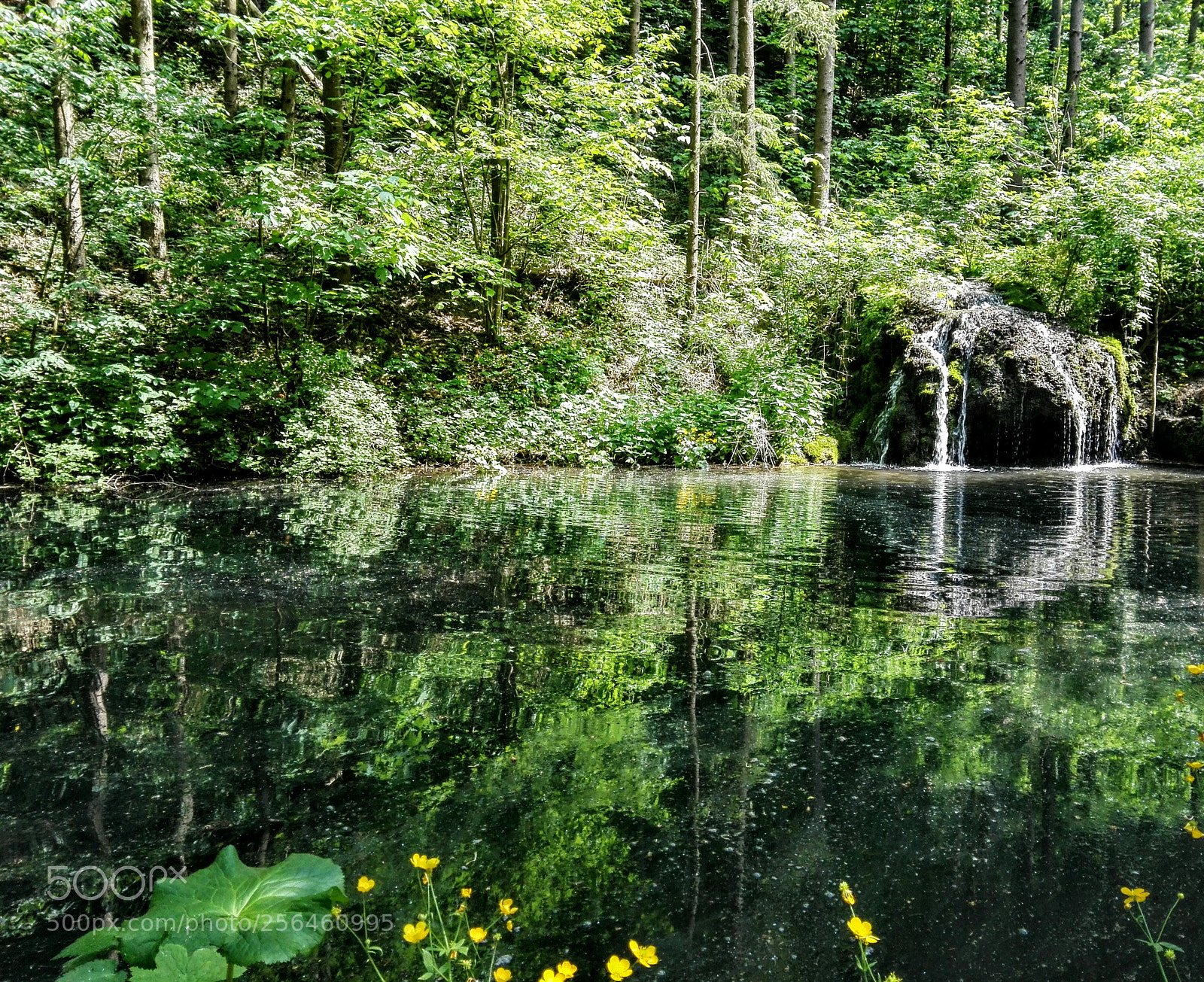 HUAWEI P8 Lite sample photo. Peaceful photography