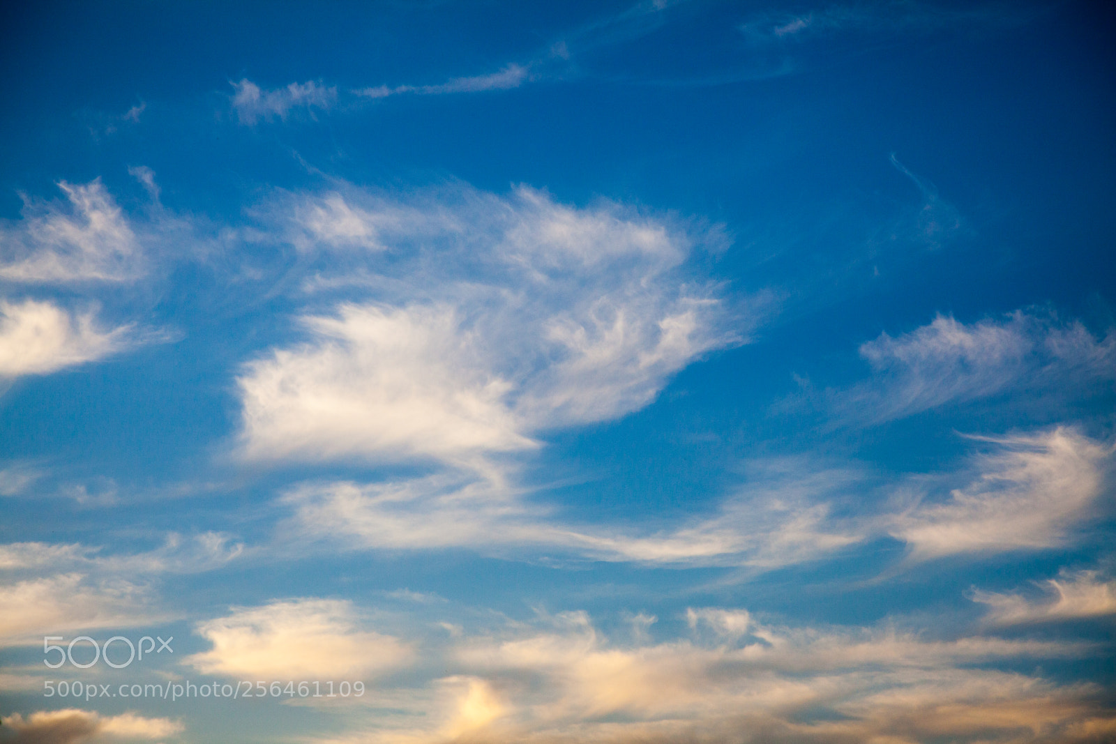 Canon EOS 5D Mark II sample photo. Untitled photography
