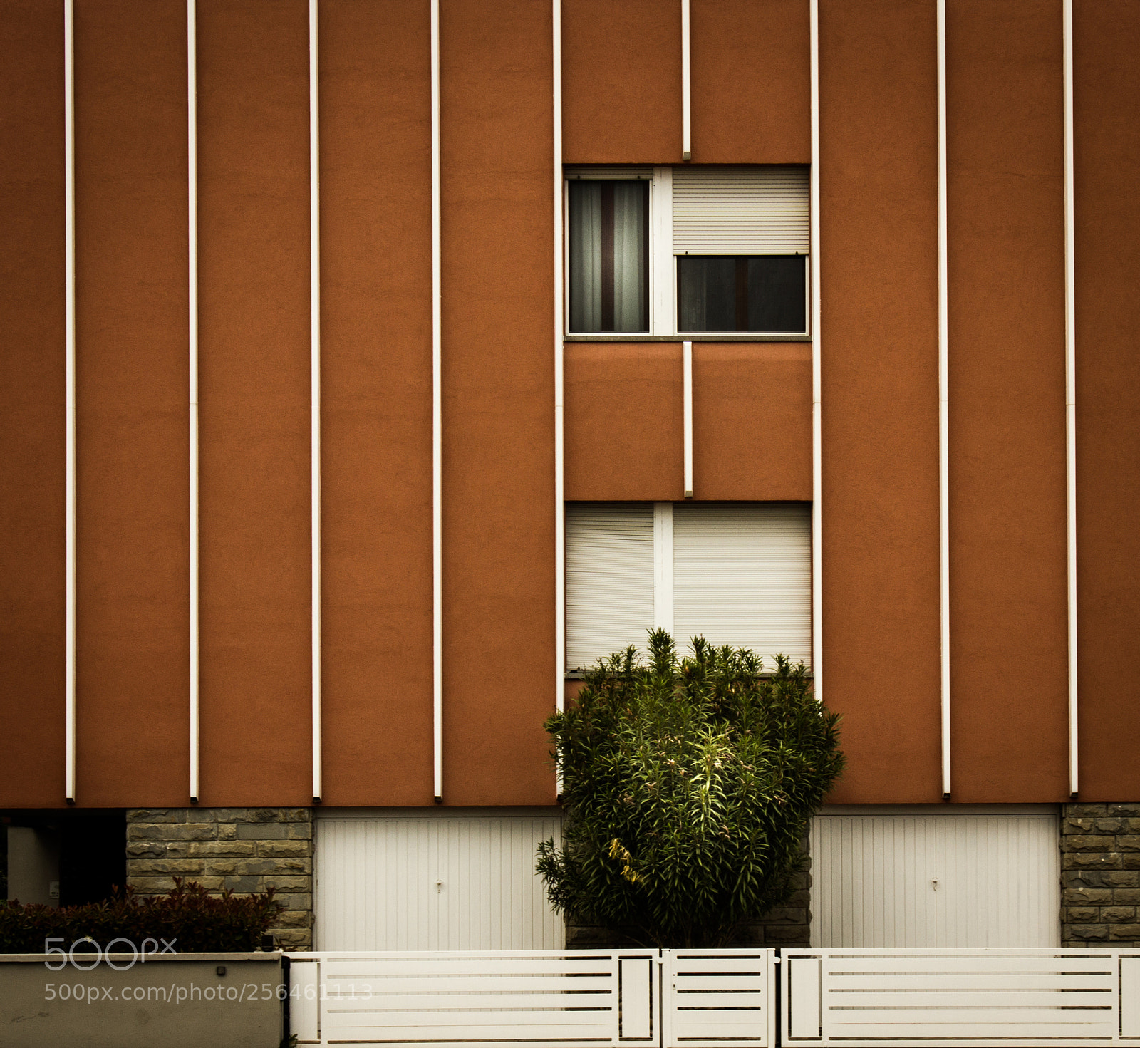 Canon EOS 550D (EOS Rebel T2i / EOS Kiss X4) sample photo. Baricella photography