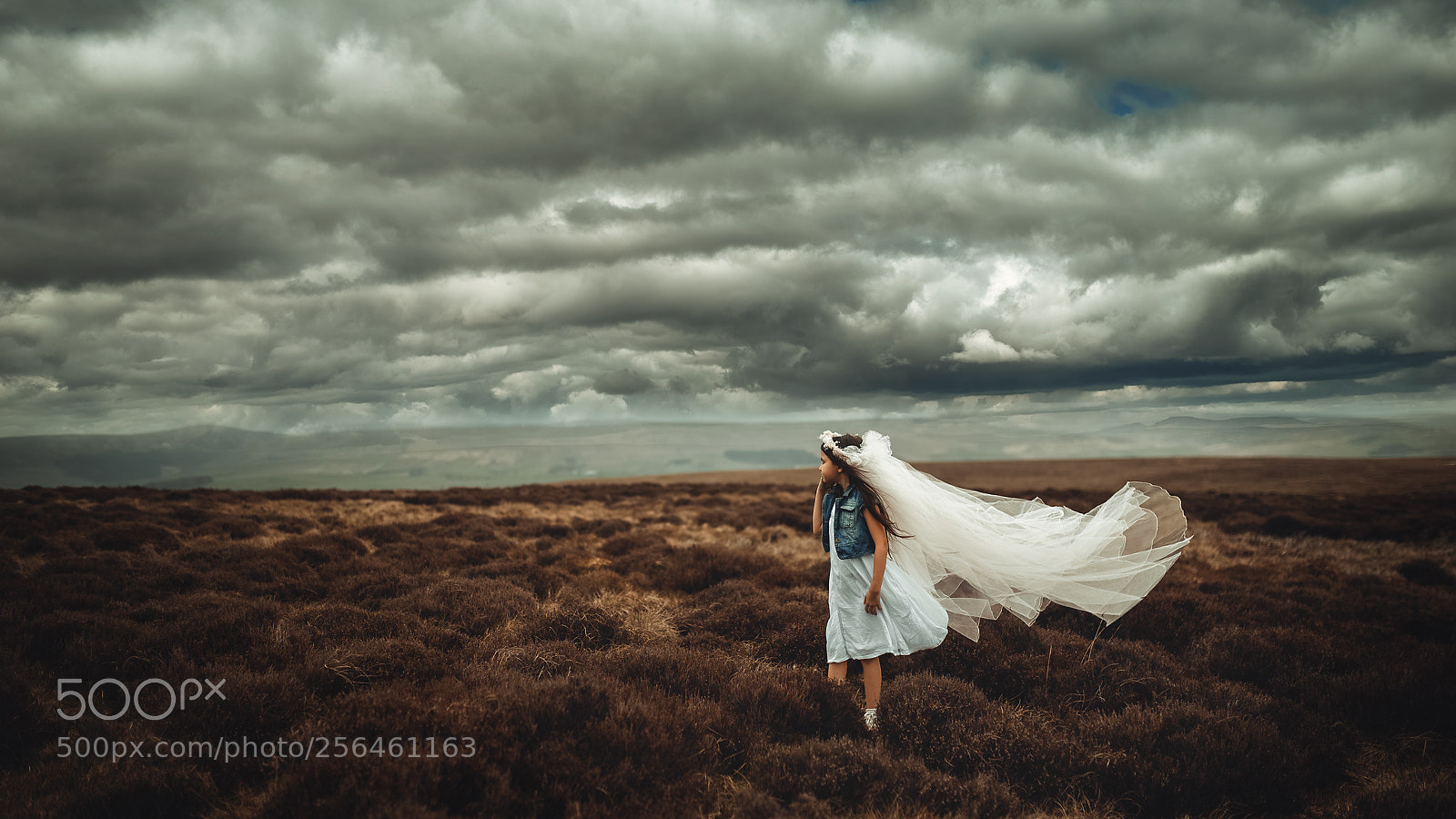 Nikon D610 sample photo. Storm is coming photography