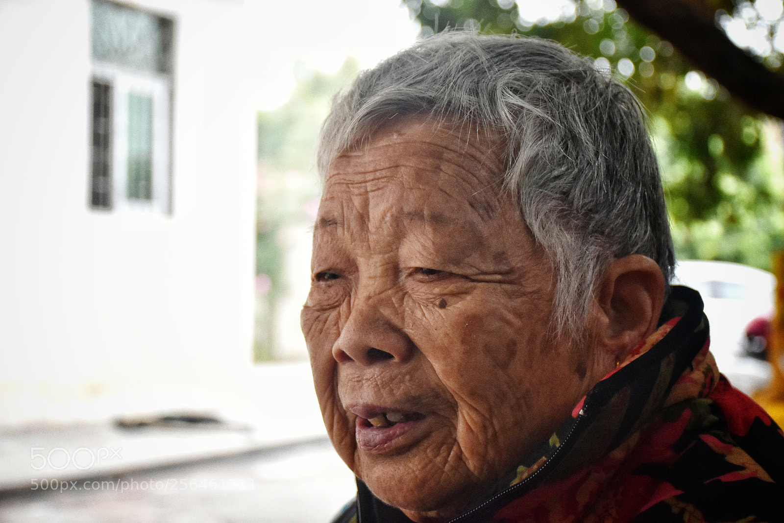 Nikon D5500 sample photo. Grandma photography