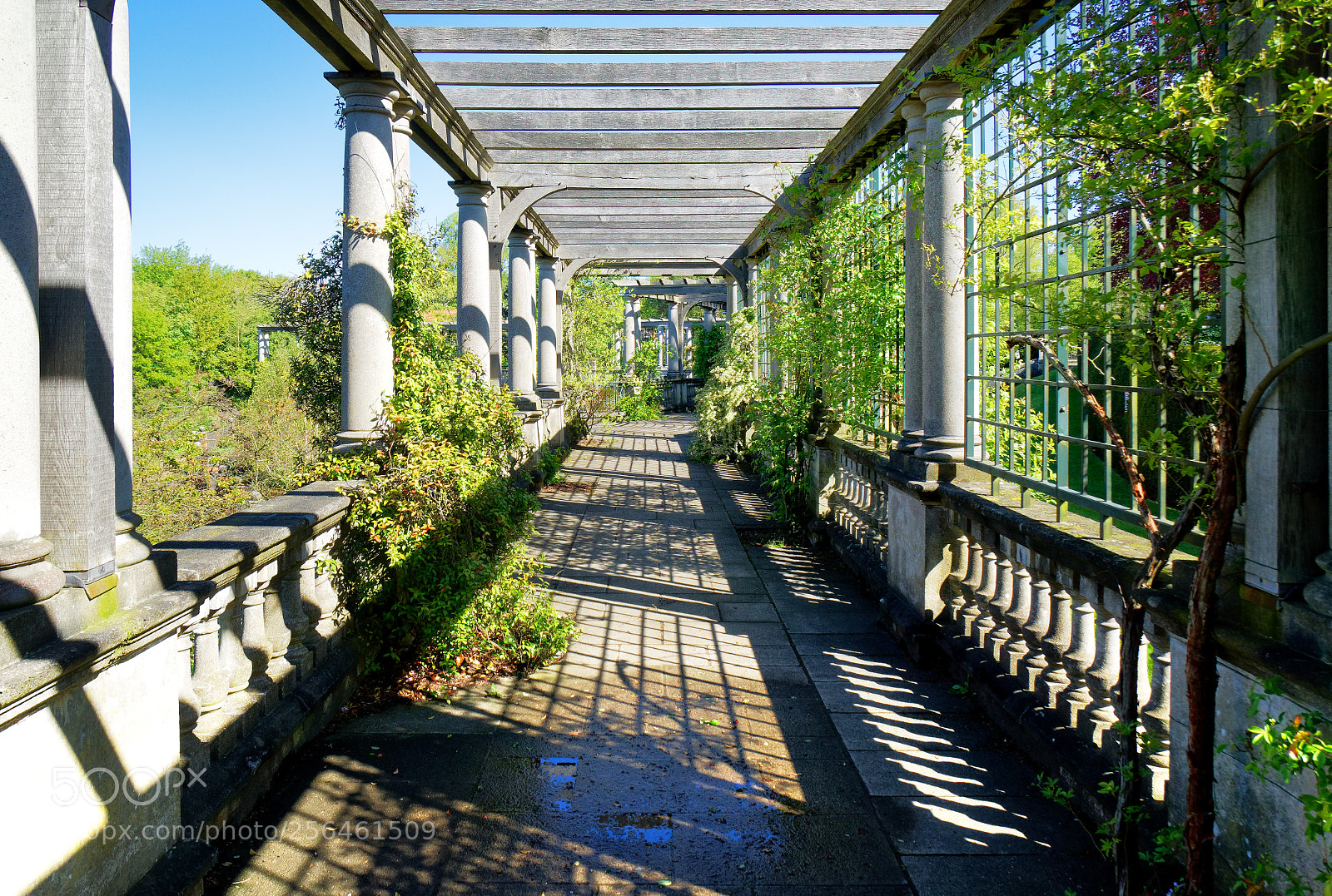 Sony a6000 sample photo. Hampstead pergola and hill photography