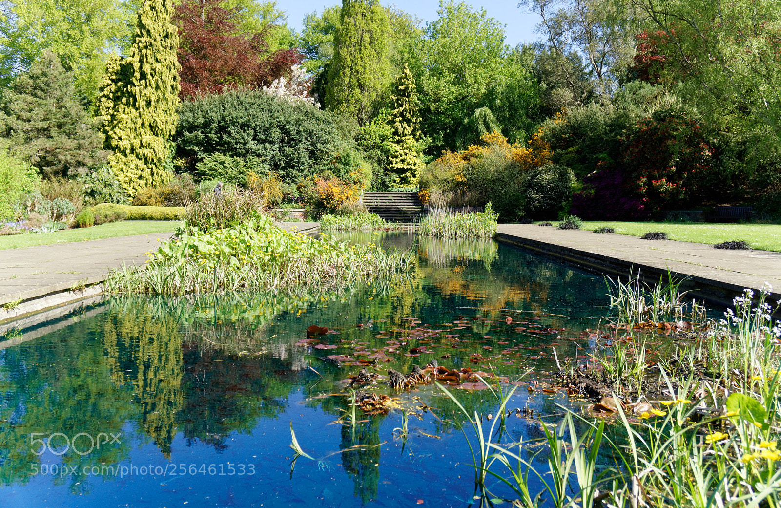 Sony a6000 sample photo. Hampstead pergola and hill photography