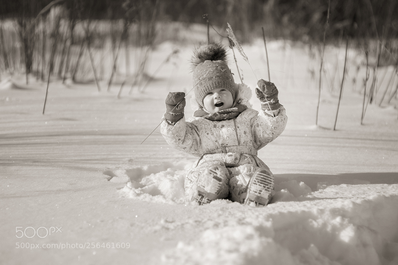 Canon EOS 5D sample photo. Cfcforig photography