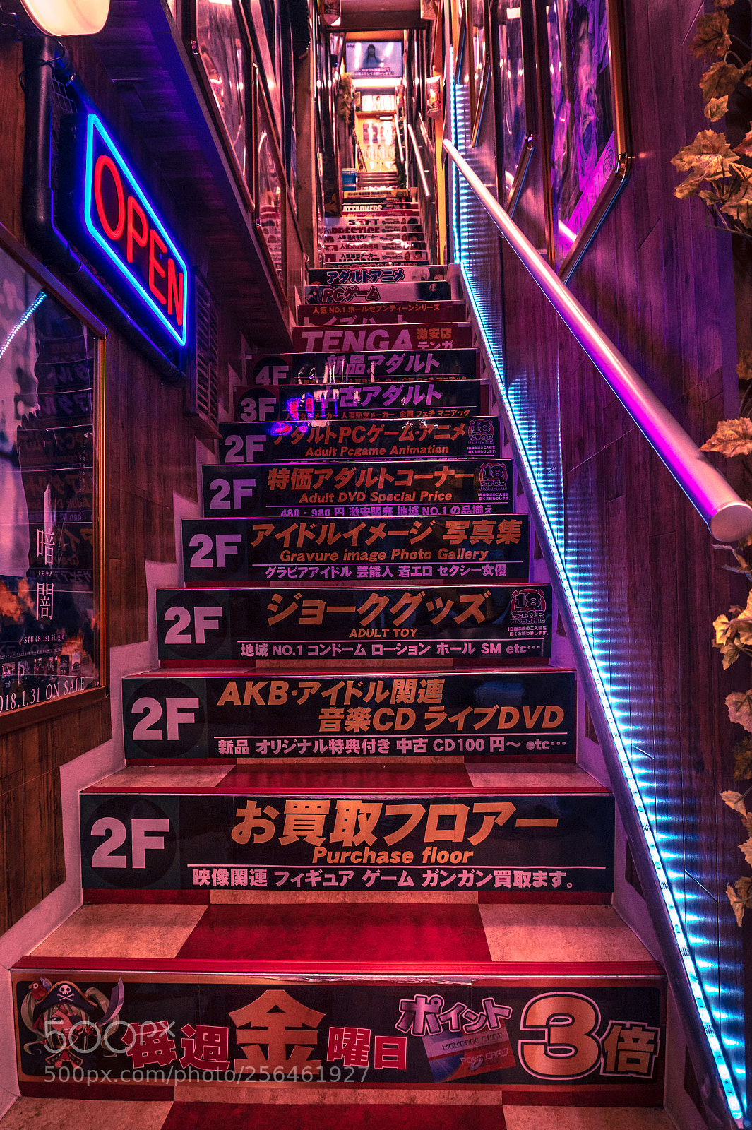 Sony Alpha a5000 (ILCE 5000) sample photo. Japanese stairs photography