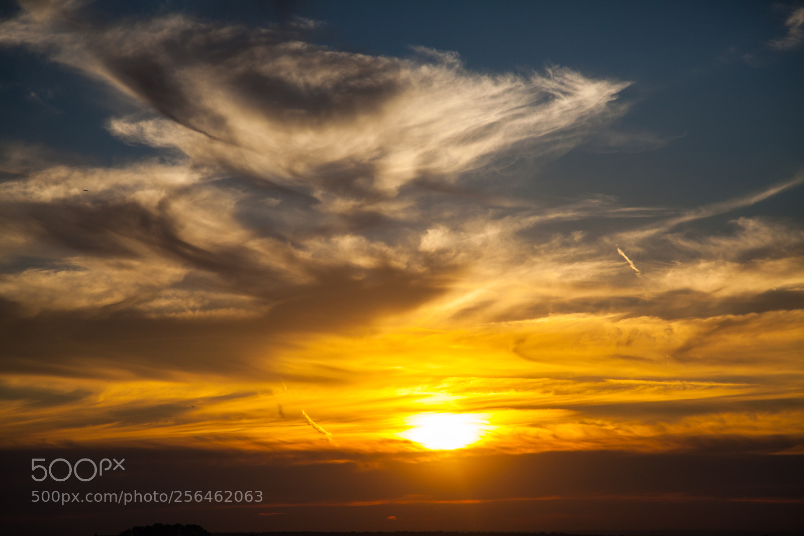 Canon EOS 5D Mark II sample photo. Untitled photography