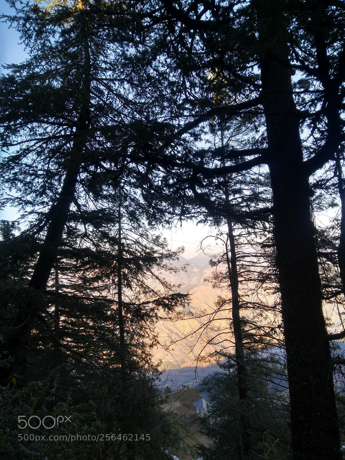 Motorola Moto G (5S) Plus sample photo. The inside out! photography